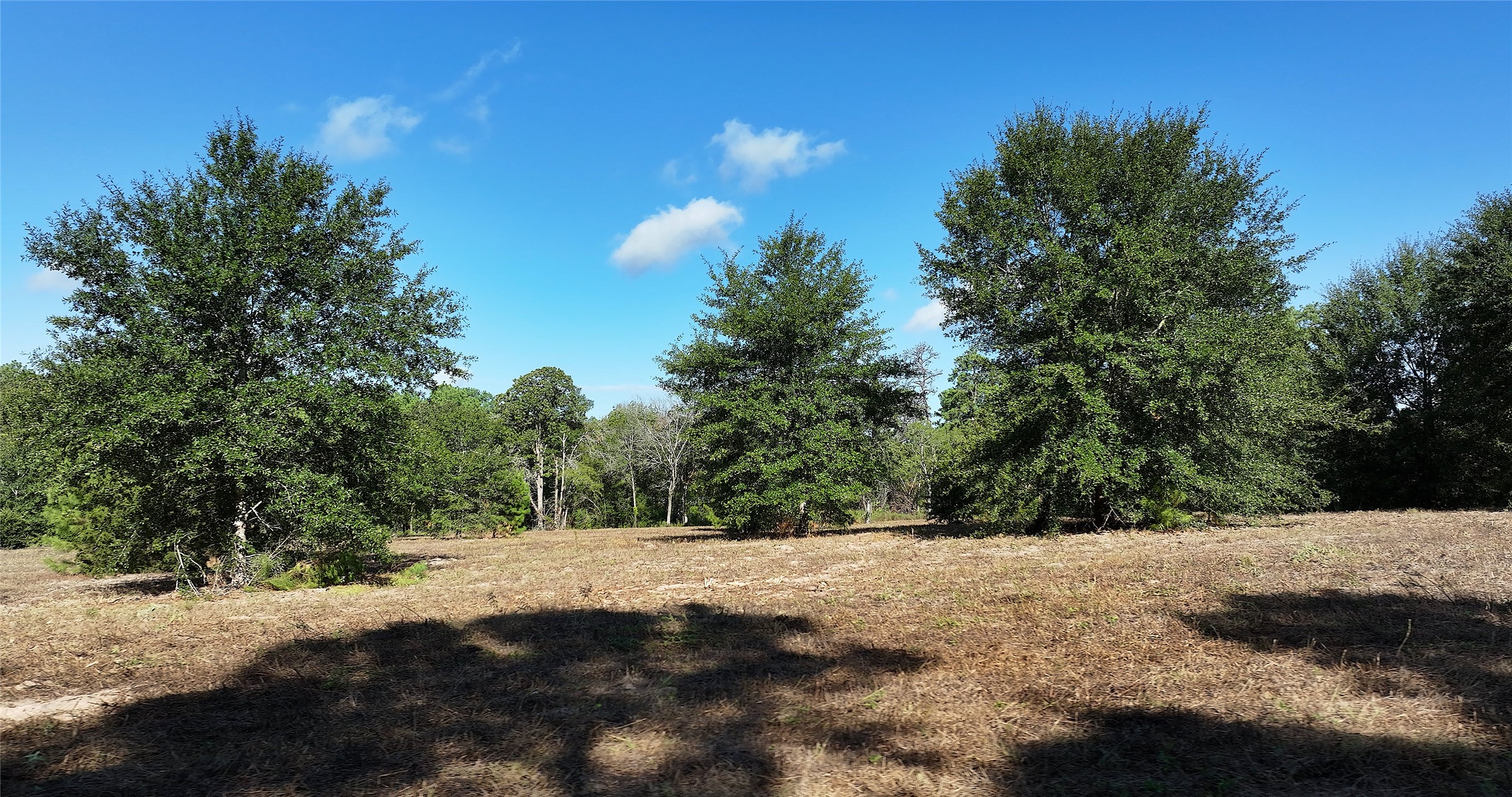 4604 Highway 105 E Property Photo 10