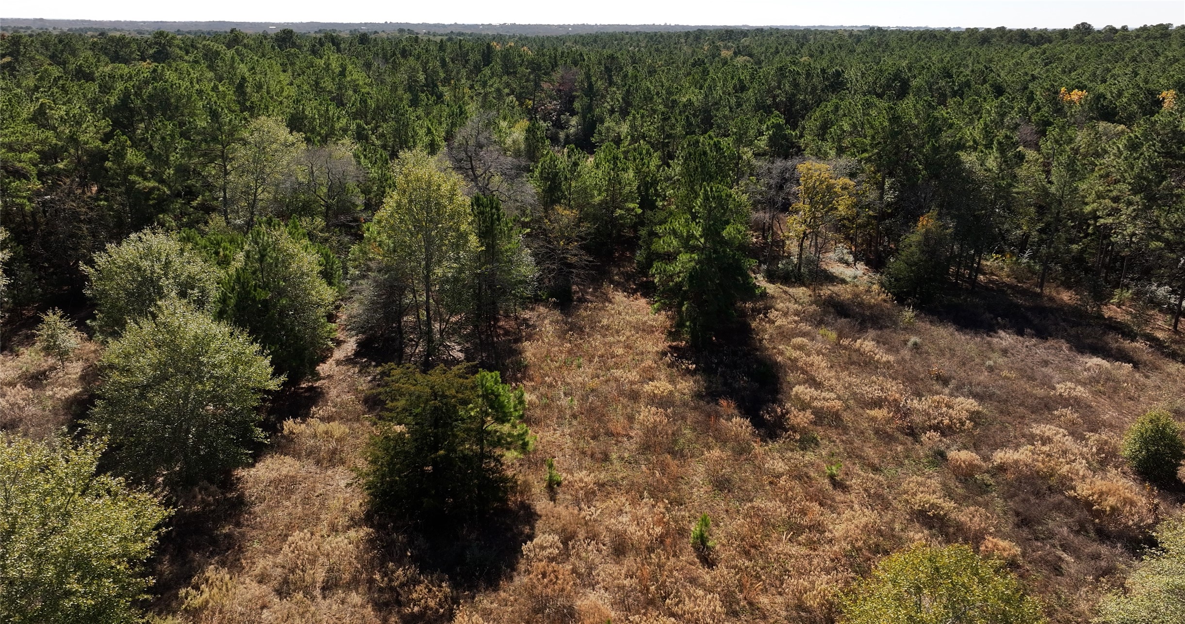 4604 Highway 105 E Property Photo 15