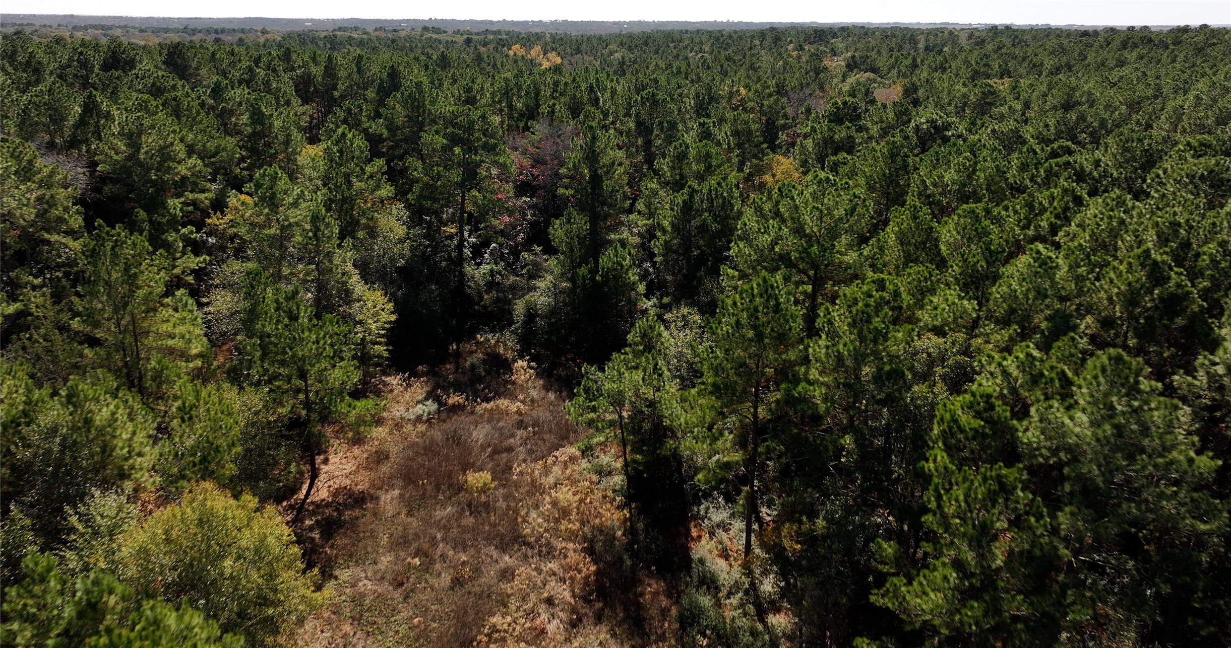 4604 Highway 105 E Property Photo 17