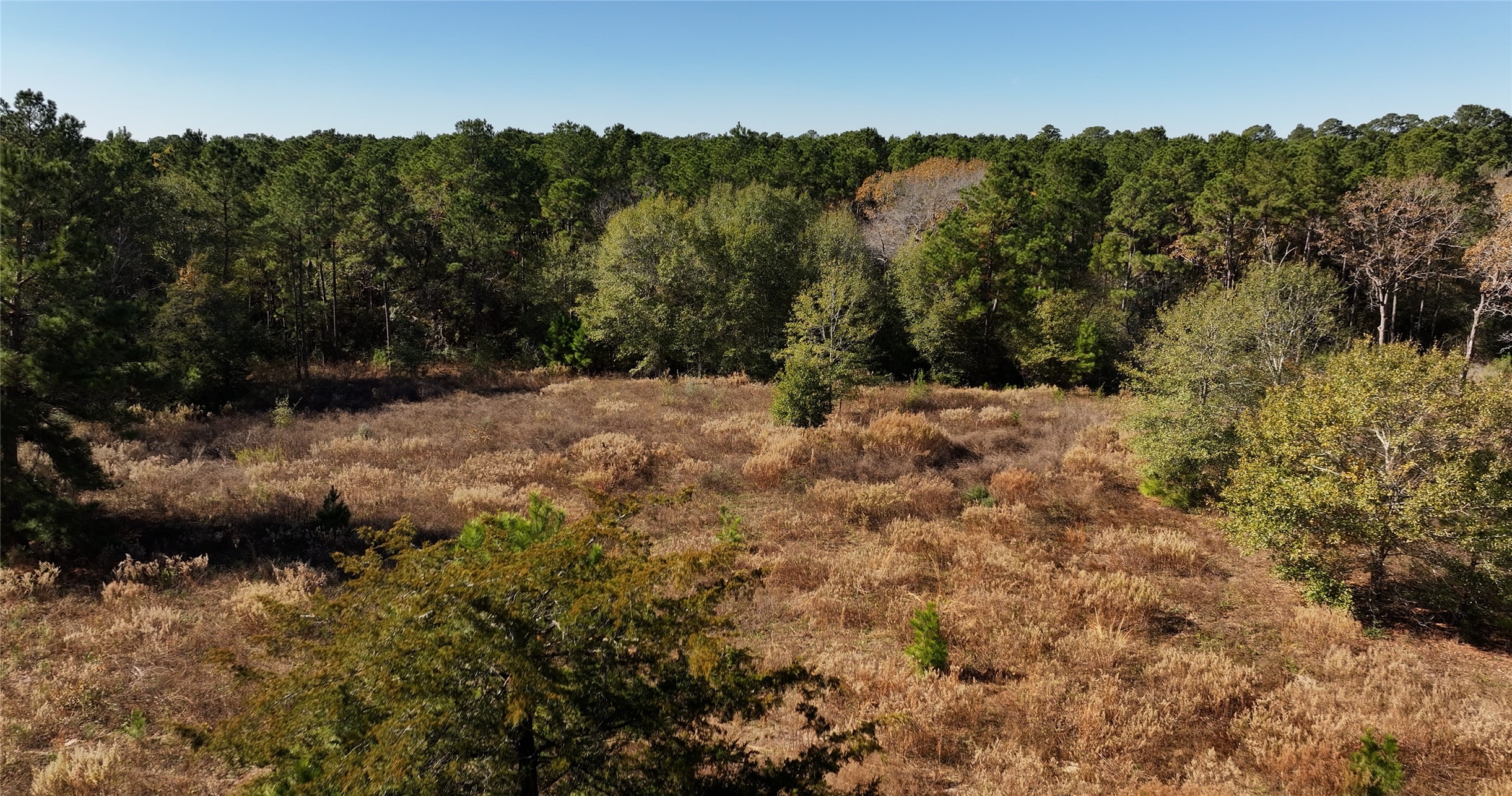 4604 Highway 105 E Property Photo 18