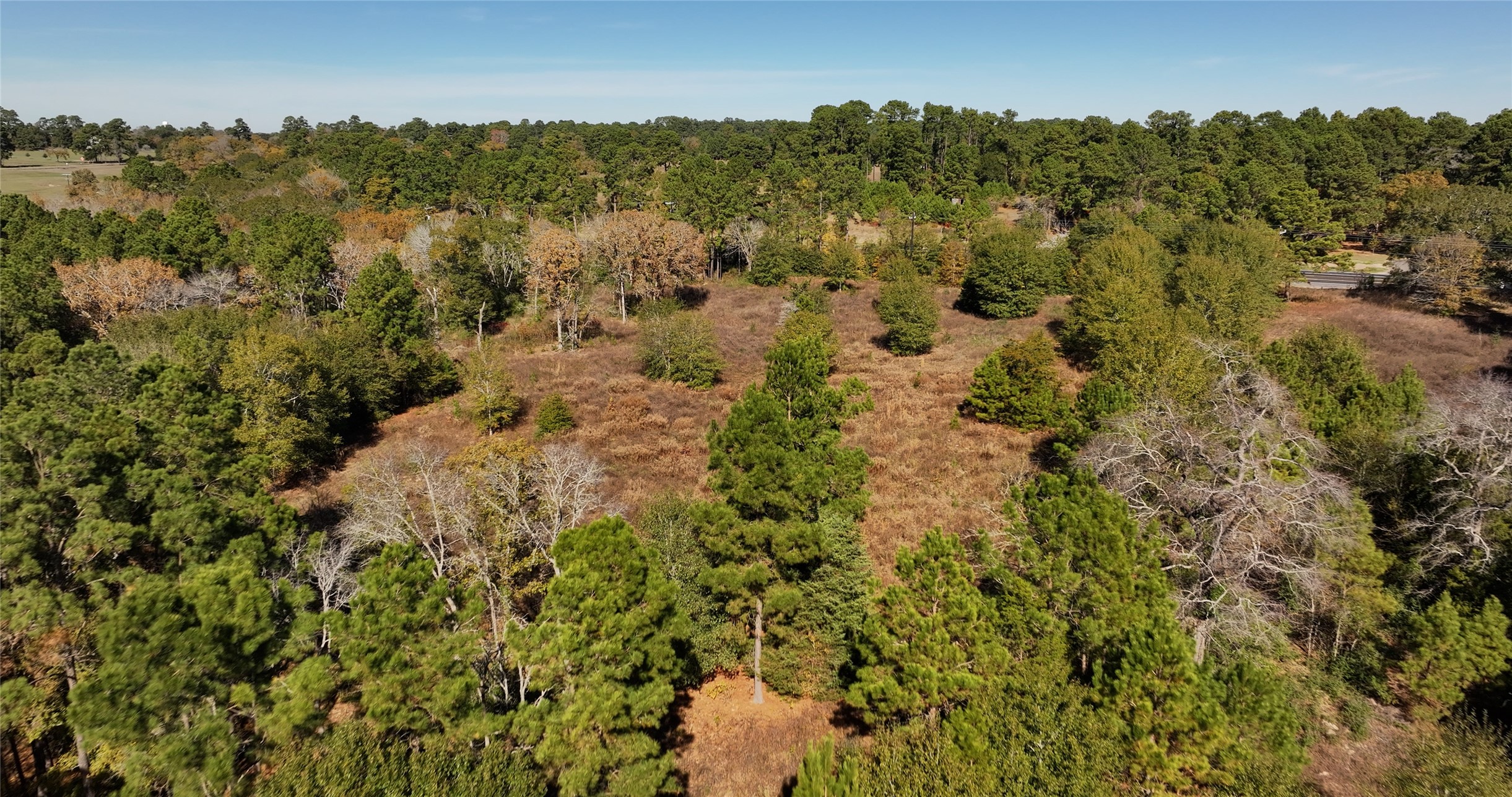 4604 Highway 105 E Property Photo 21