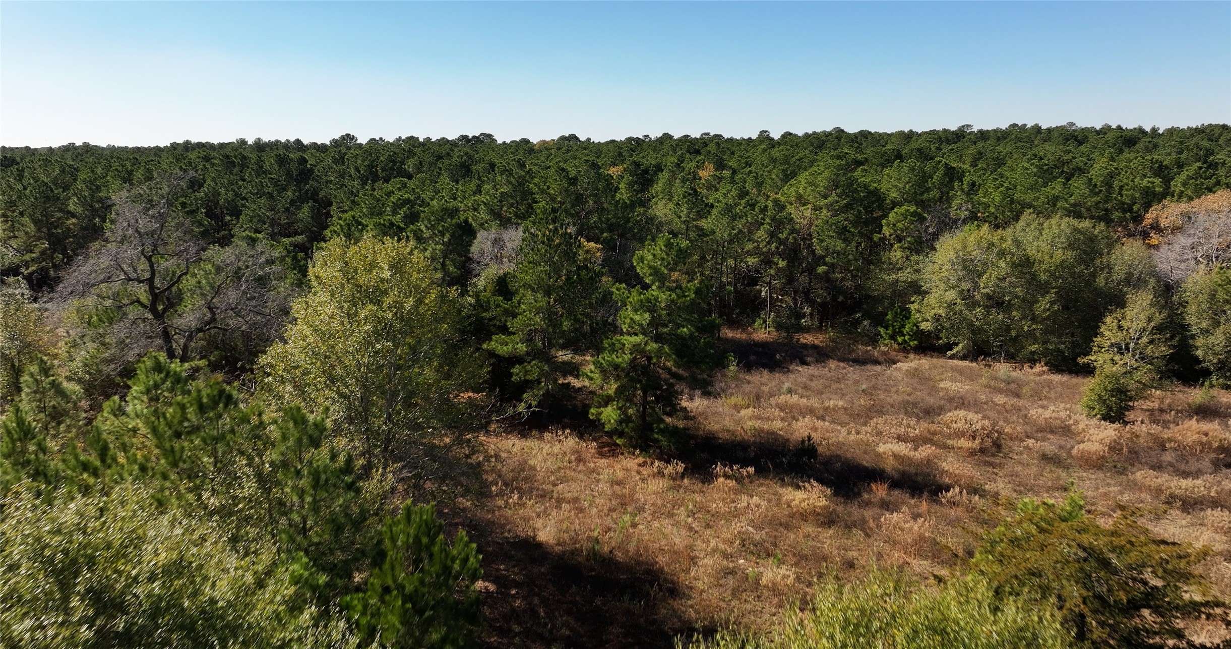 4604 Highway 105 E Property Photo 22