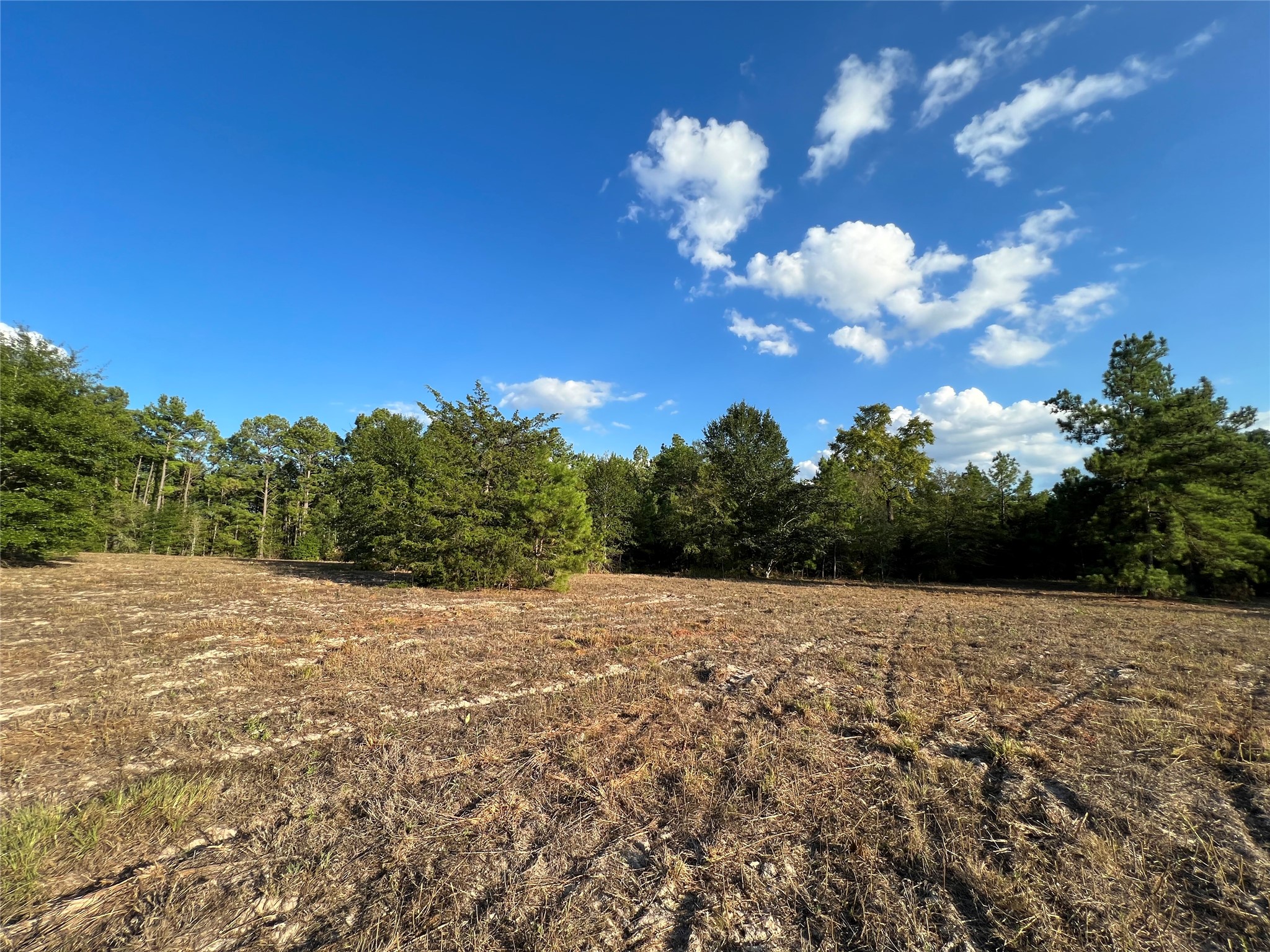 4604 Highway 105 E Property Photo 30