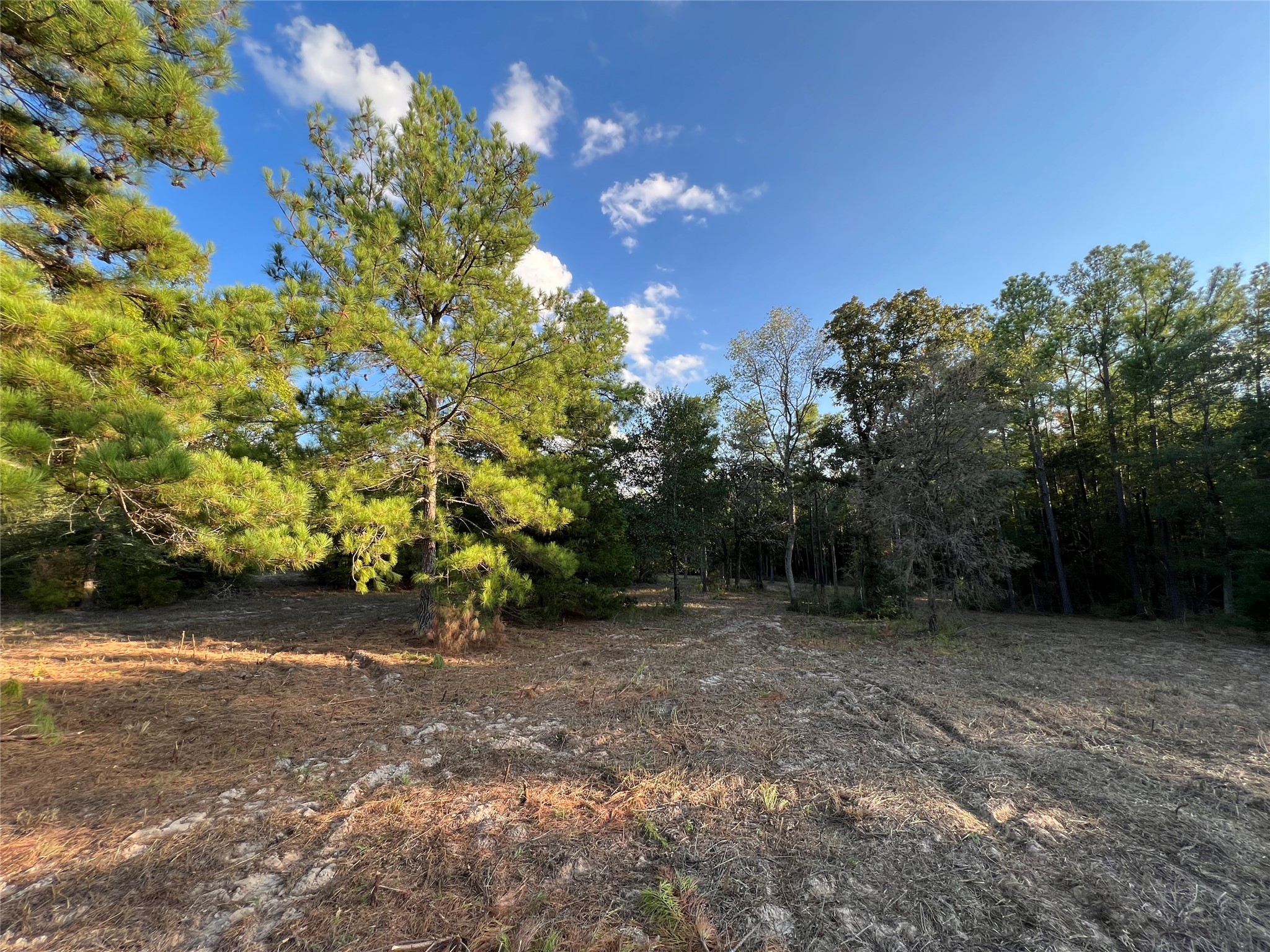 4604 Highway 105 E Property Photo 31