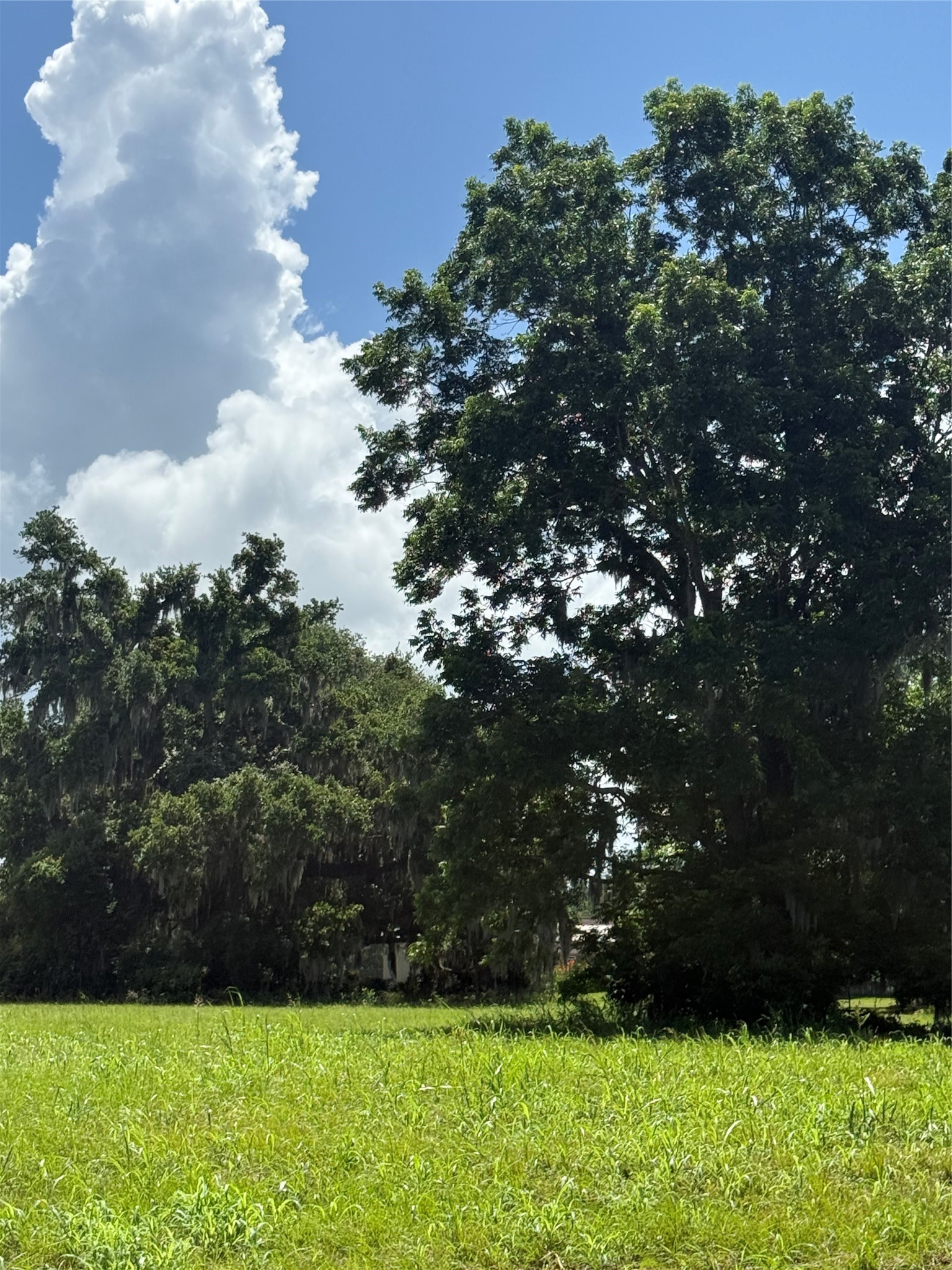 1149 Frontier Trail Property Photo 2