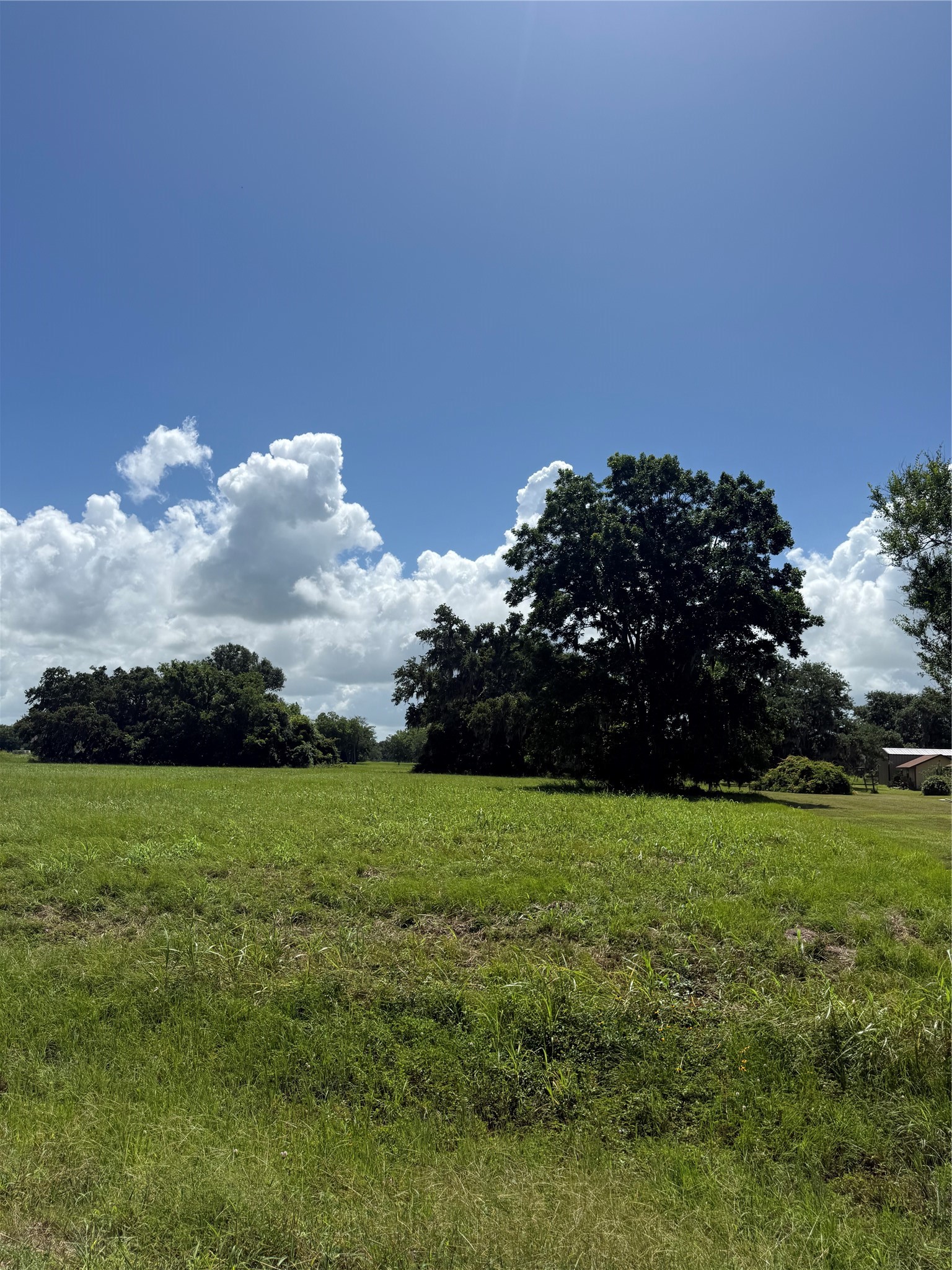 1149 Frontier Trail Property Photo 3