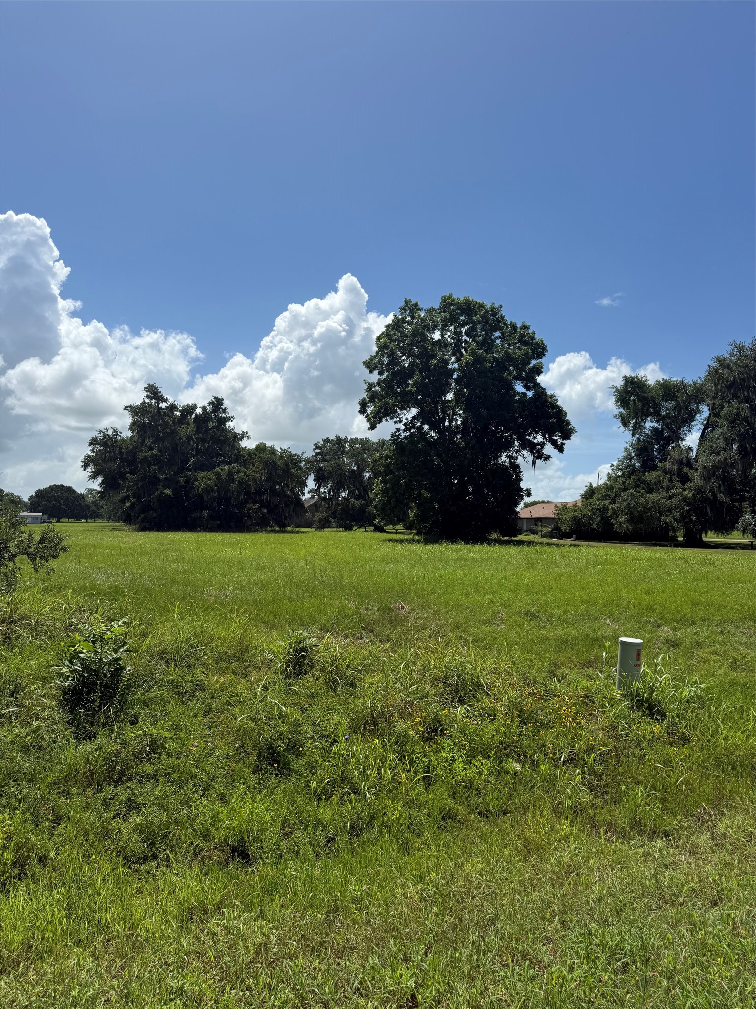 1149 Frontier Trail Property Photo 4