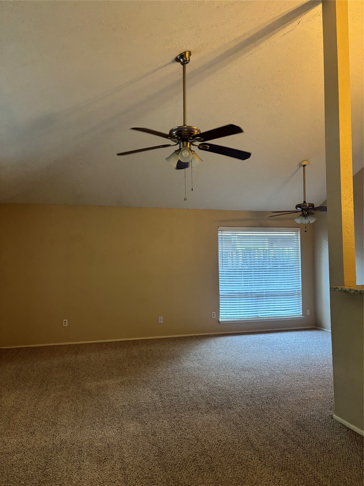 10041 Rosbrook Drive Property Photo 4