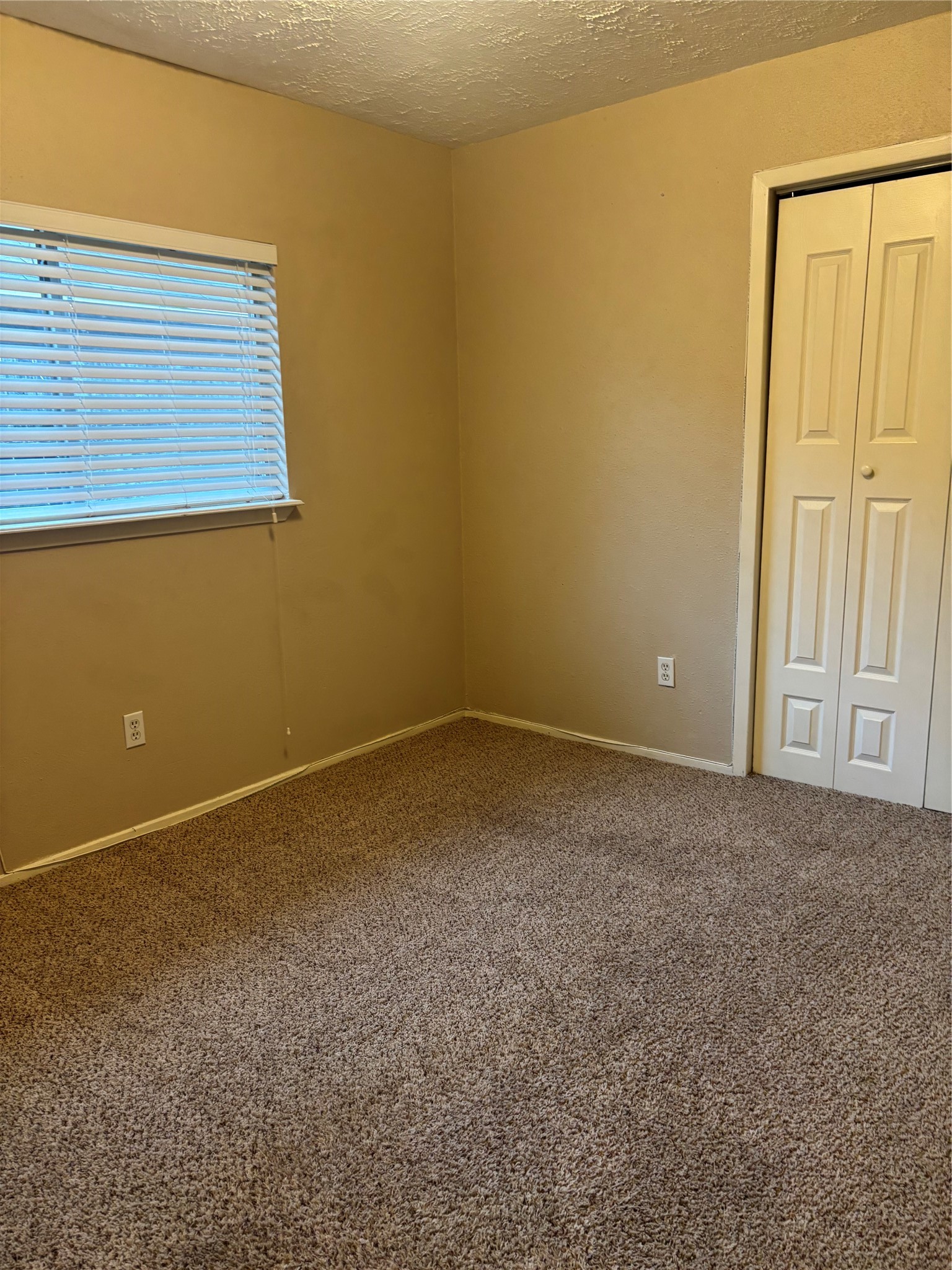 10041 Rosbrook Drive Property Photo 6