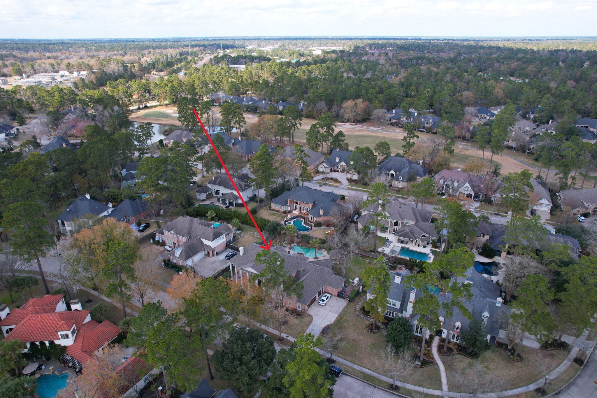 39 Forest Green Trail Property Photo 43