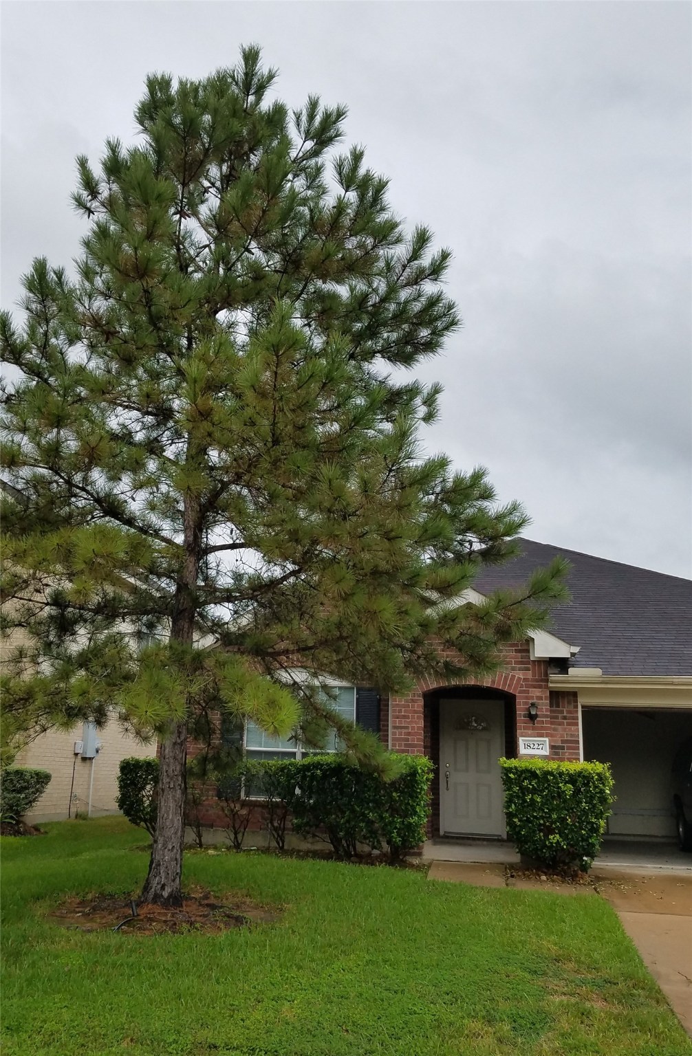 18227 Sweet Juniper Lane Property Photo 1
