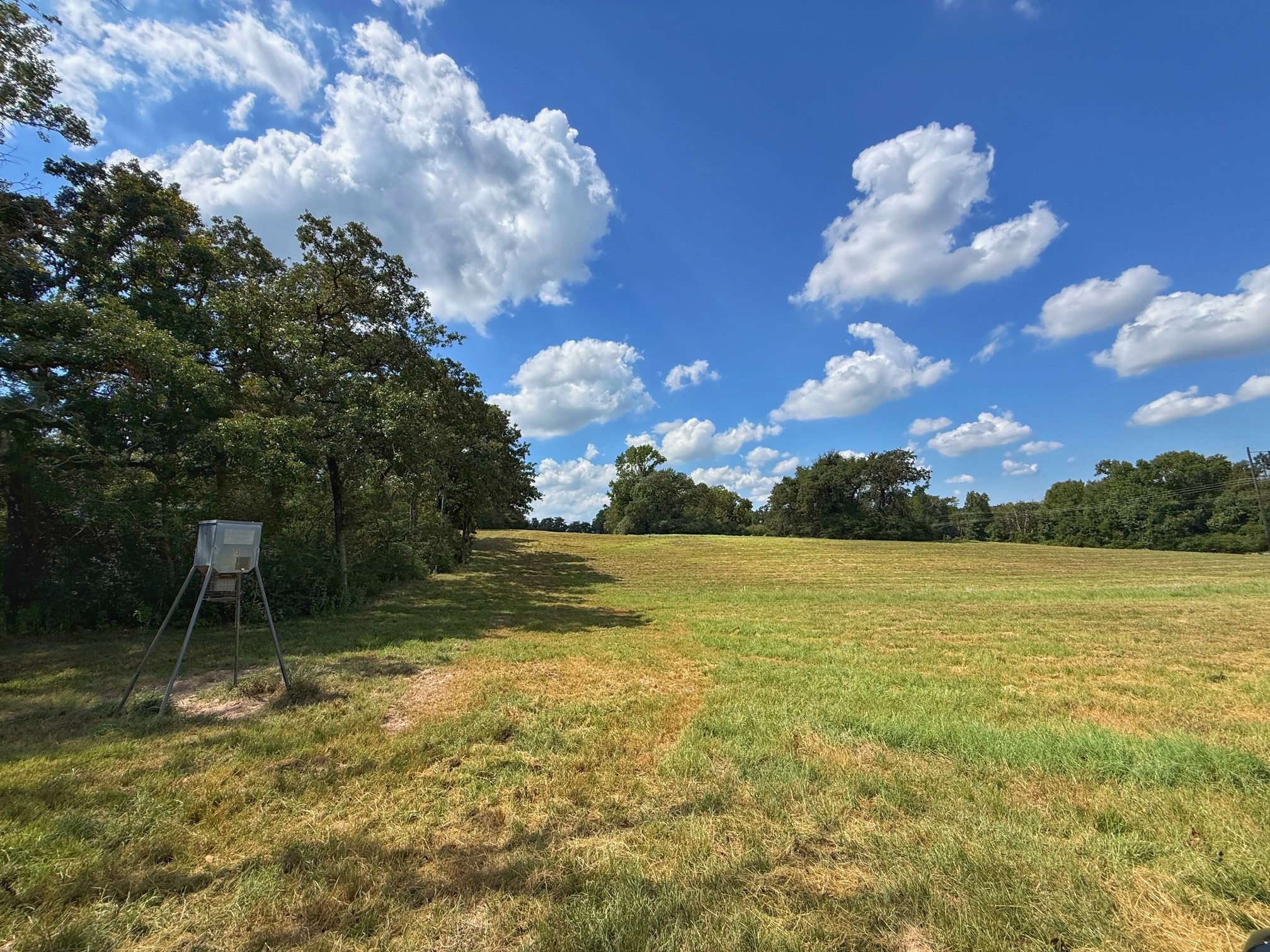 25421 I-45 Feeder Rd S Property Photo 7