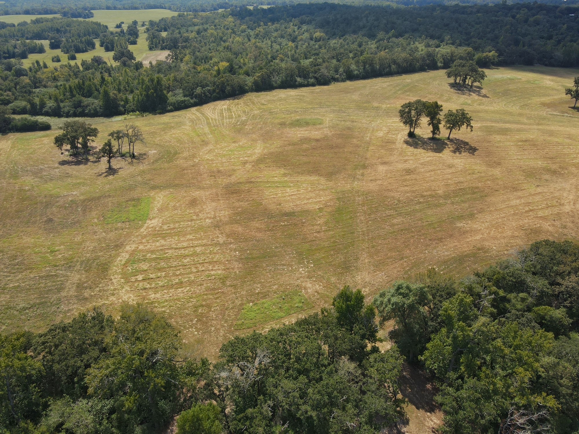 25421 I-45 Feeder Rd S Property Photo 8