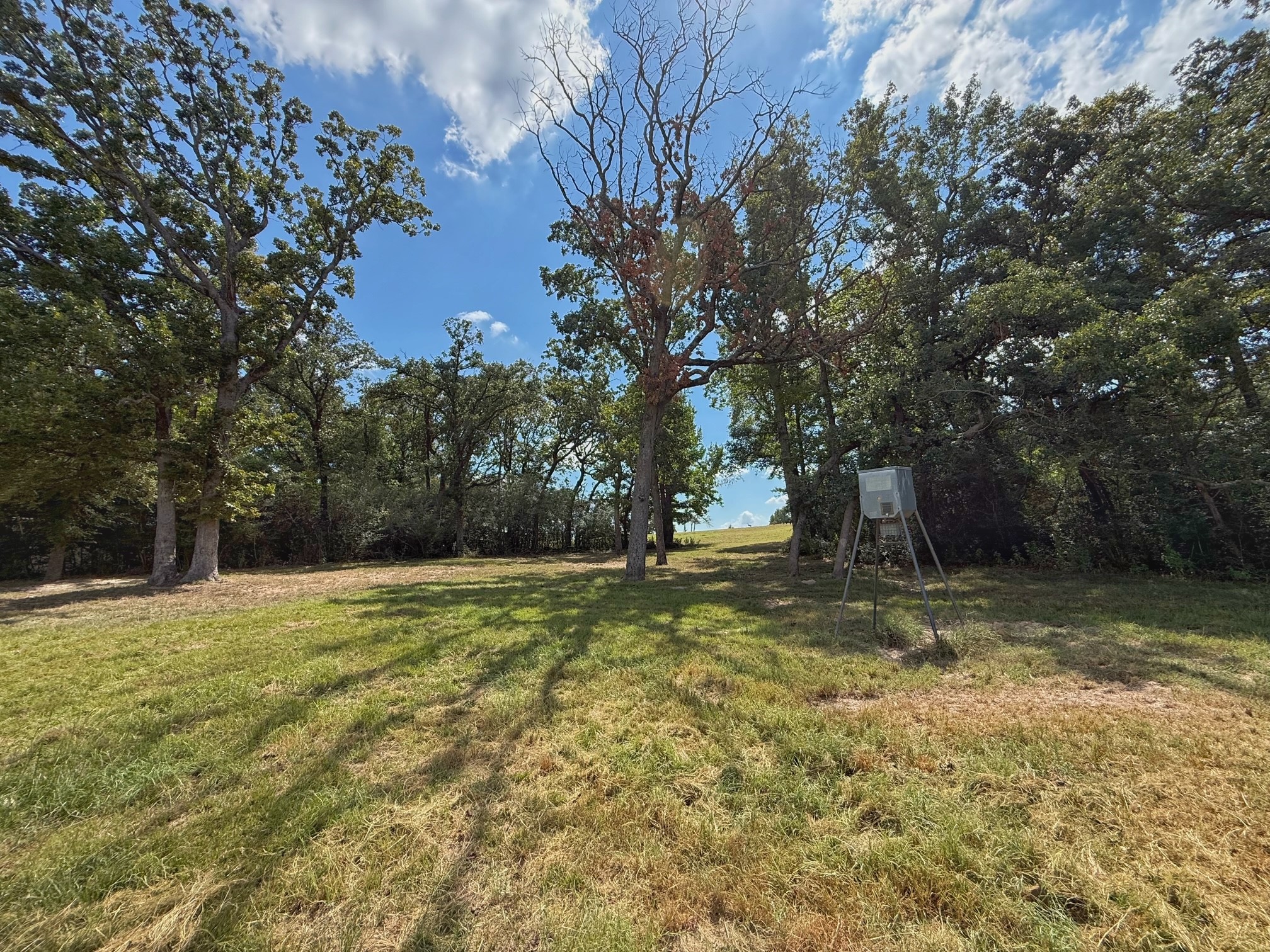 25421 I-45 Feeder Rd S Property Photo 9