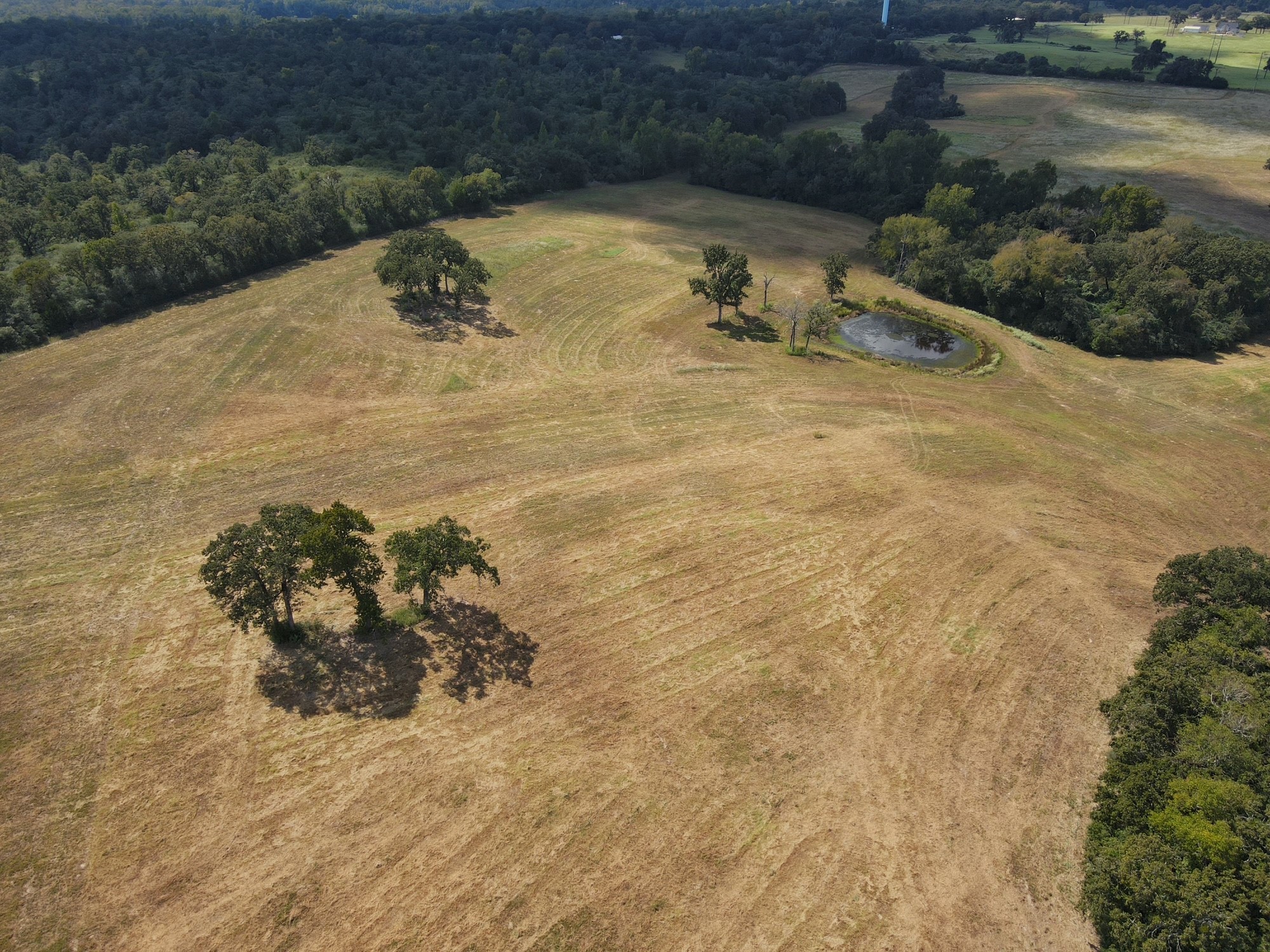 25421 I-45 Feeder Rd S Property Photo 10