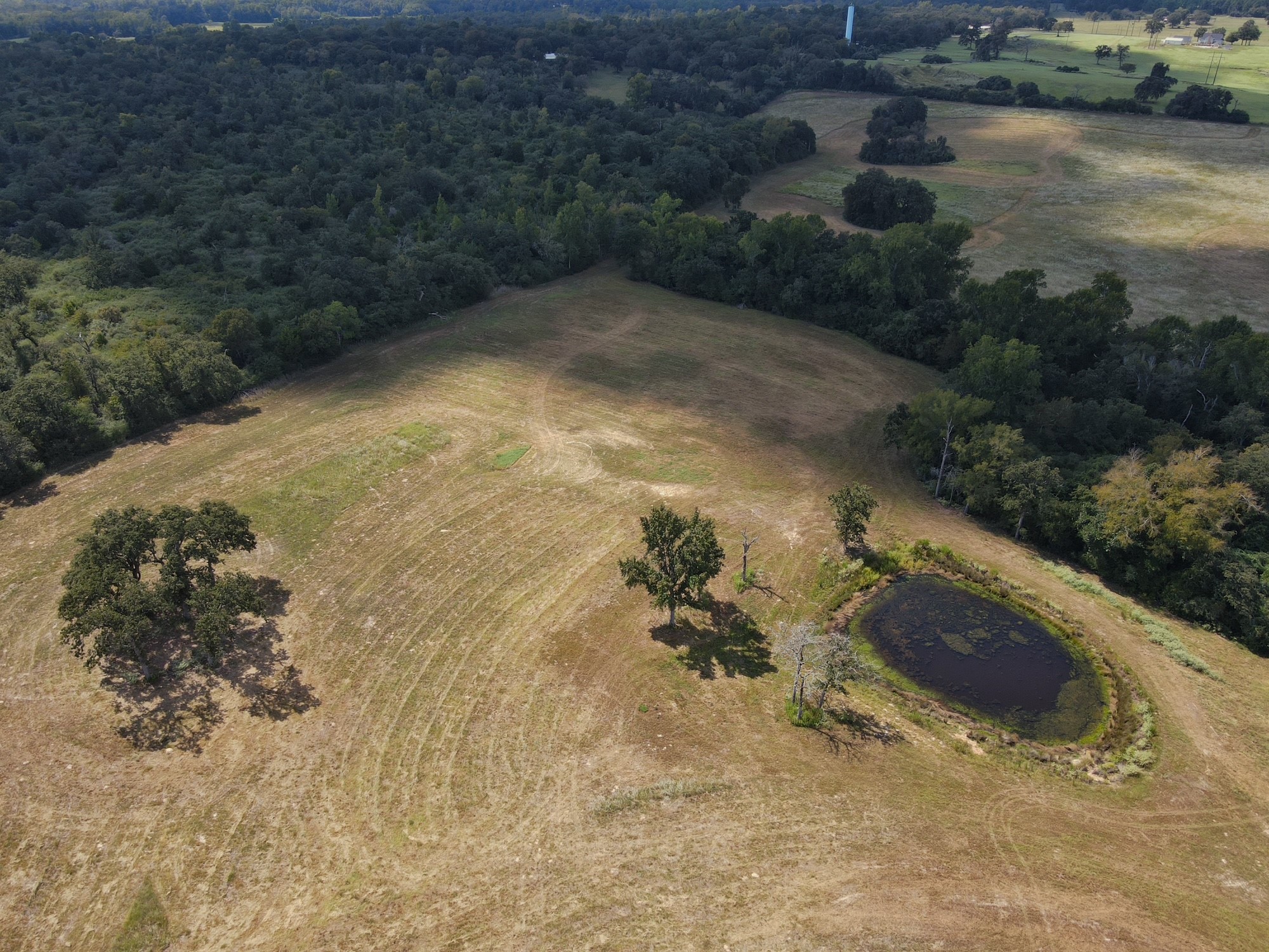 25421 I-45 Feeder Rd S Property Photo 12