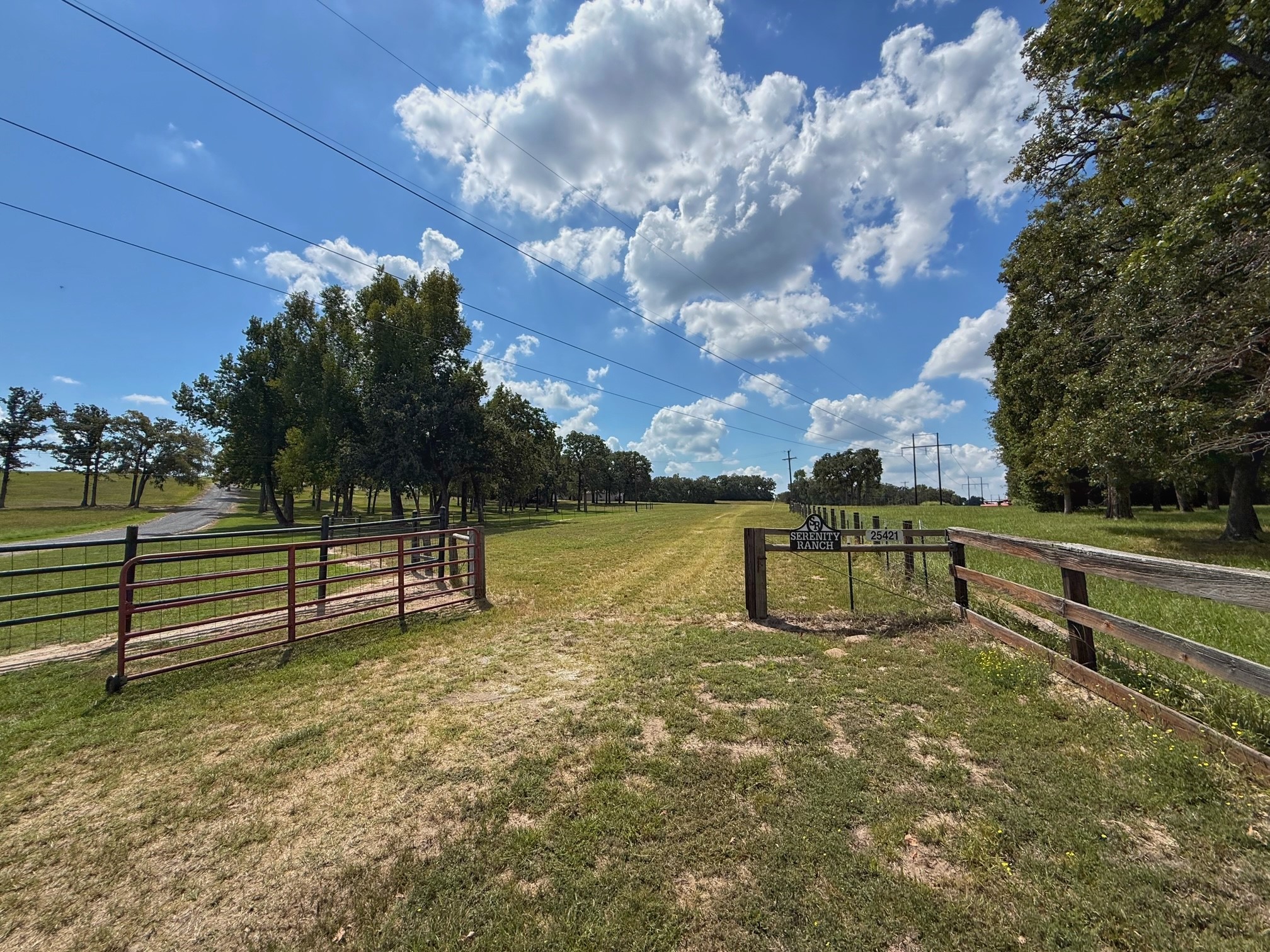 25421 I-45 Feeder Rd S Property Photo 13