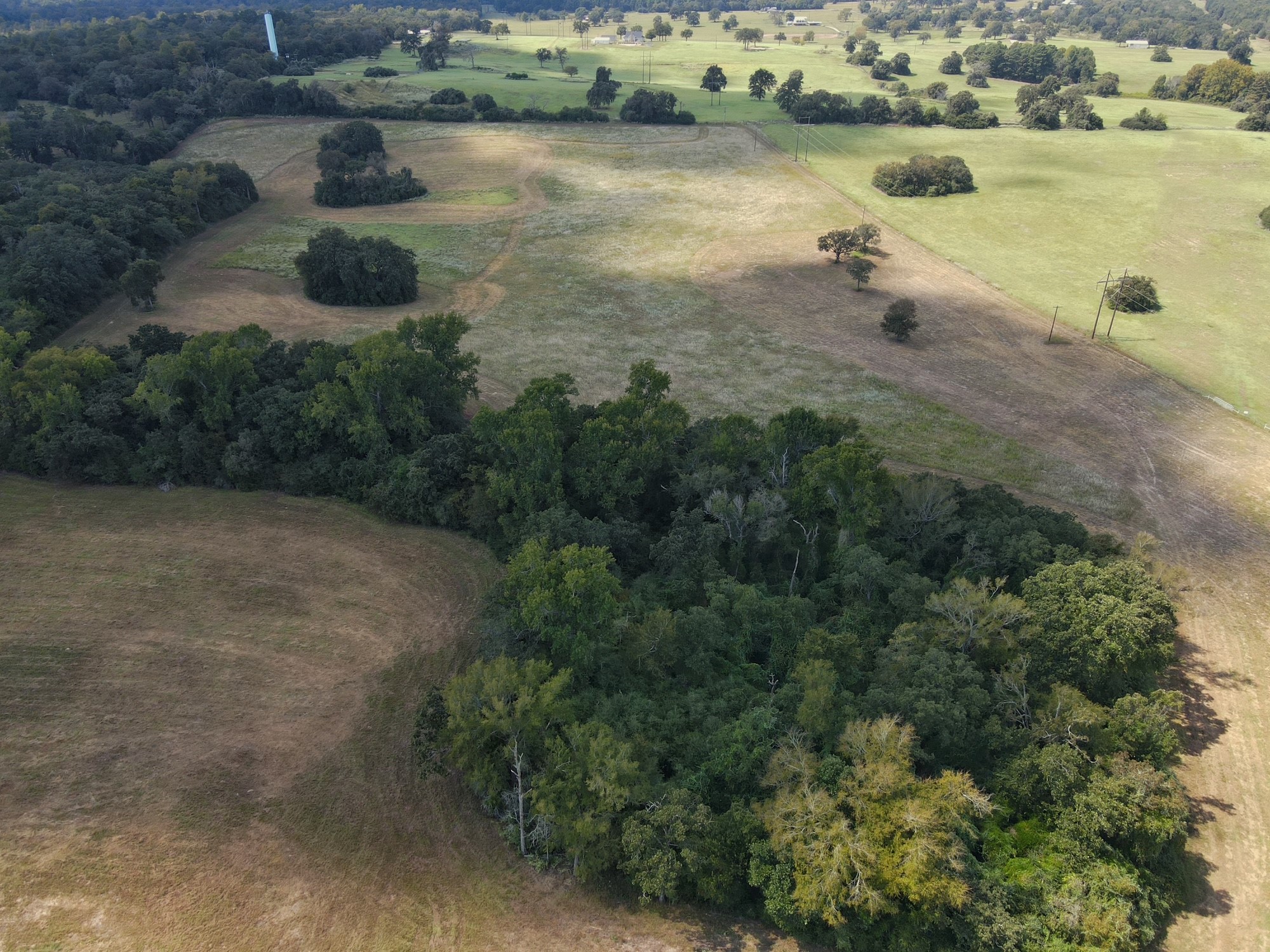 25421 I-45 Feeder Rd S Property Photo 14