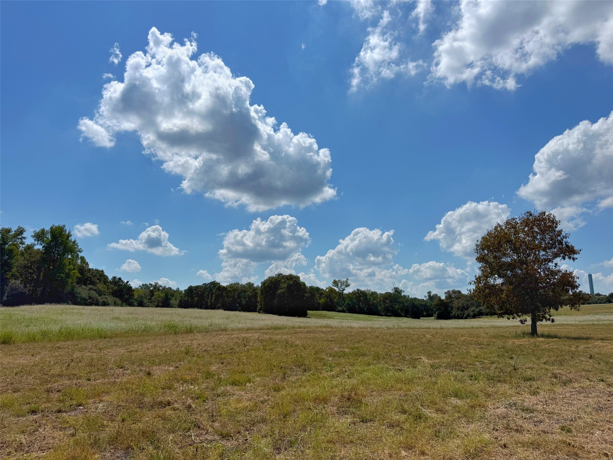 25421 I-45 Feeder Rd S Property Photo 15