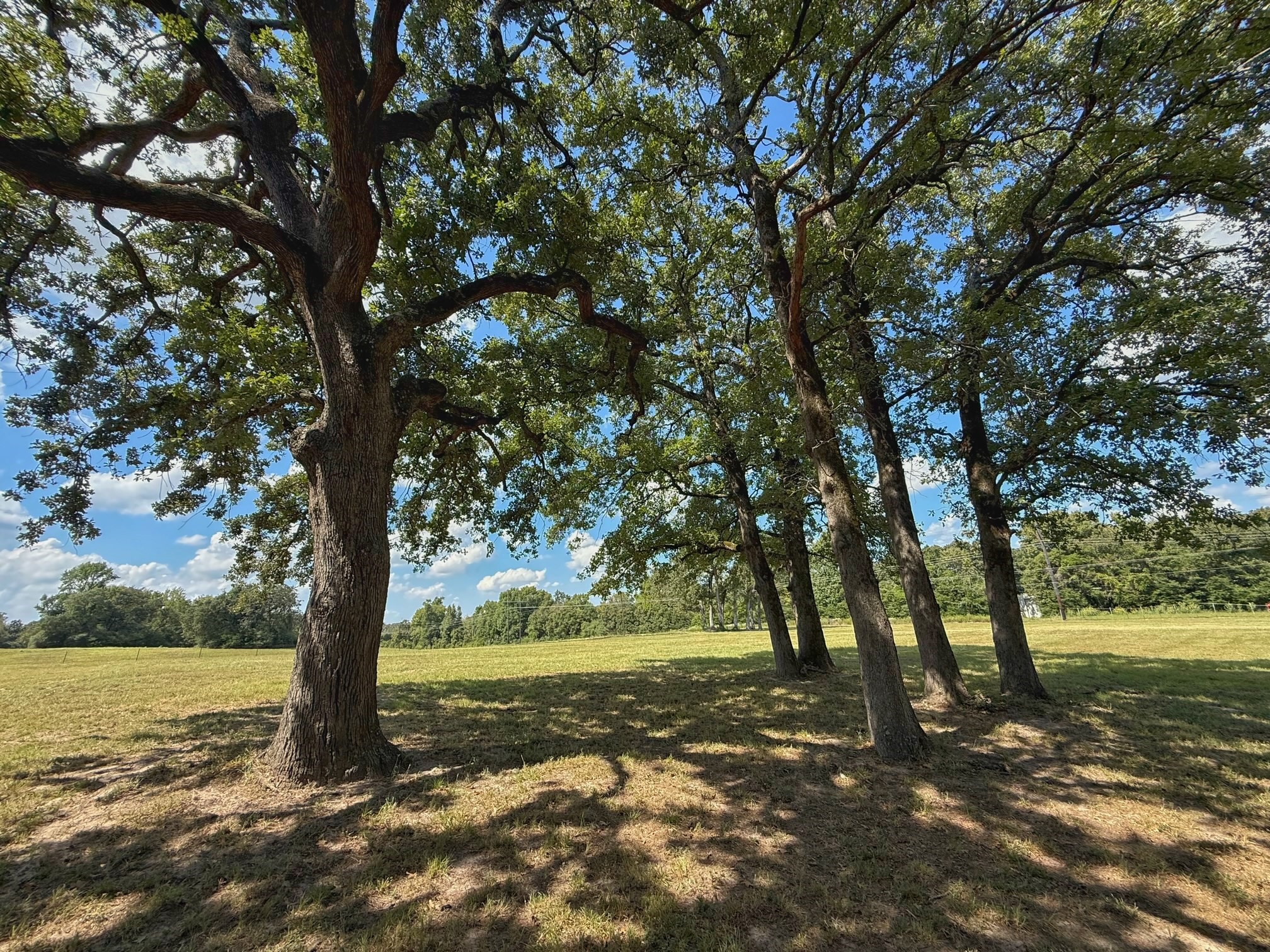 25421 I-45 Feeder Rd S Property Photo 17