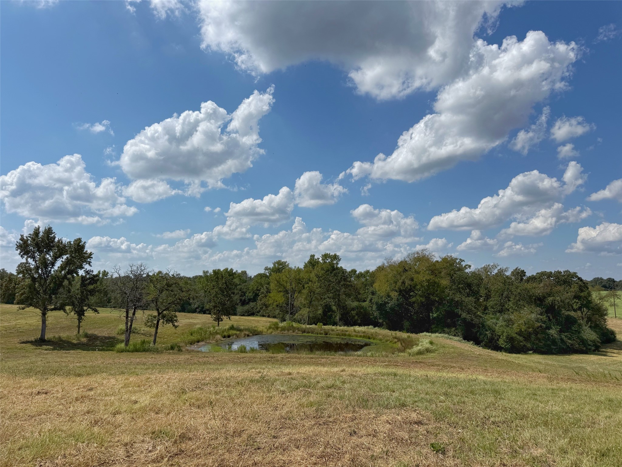 25421 I-45 Feeder Rd S Property Photo 19