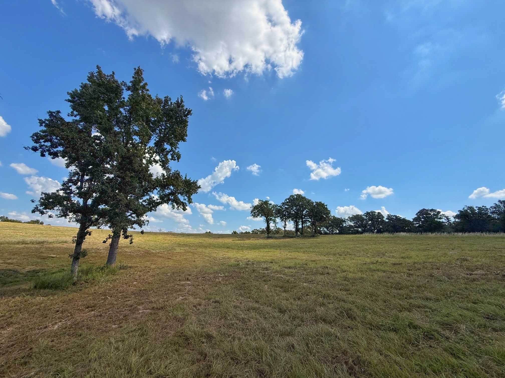 25421 I-45 Feeder Rd S Property Photo 21