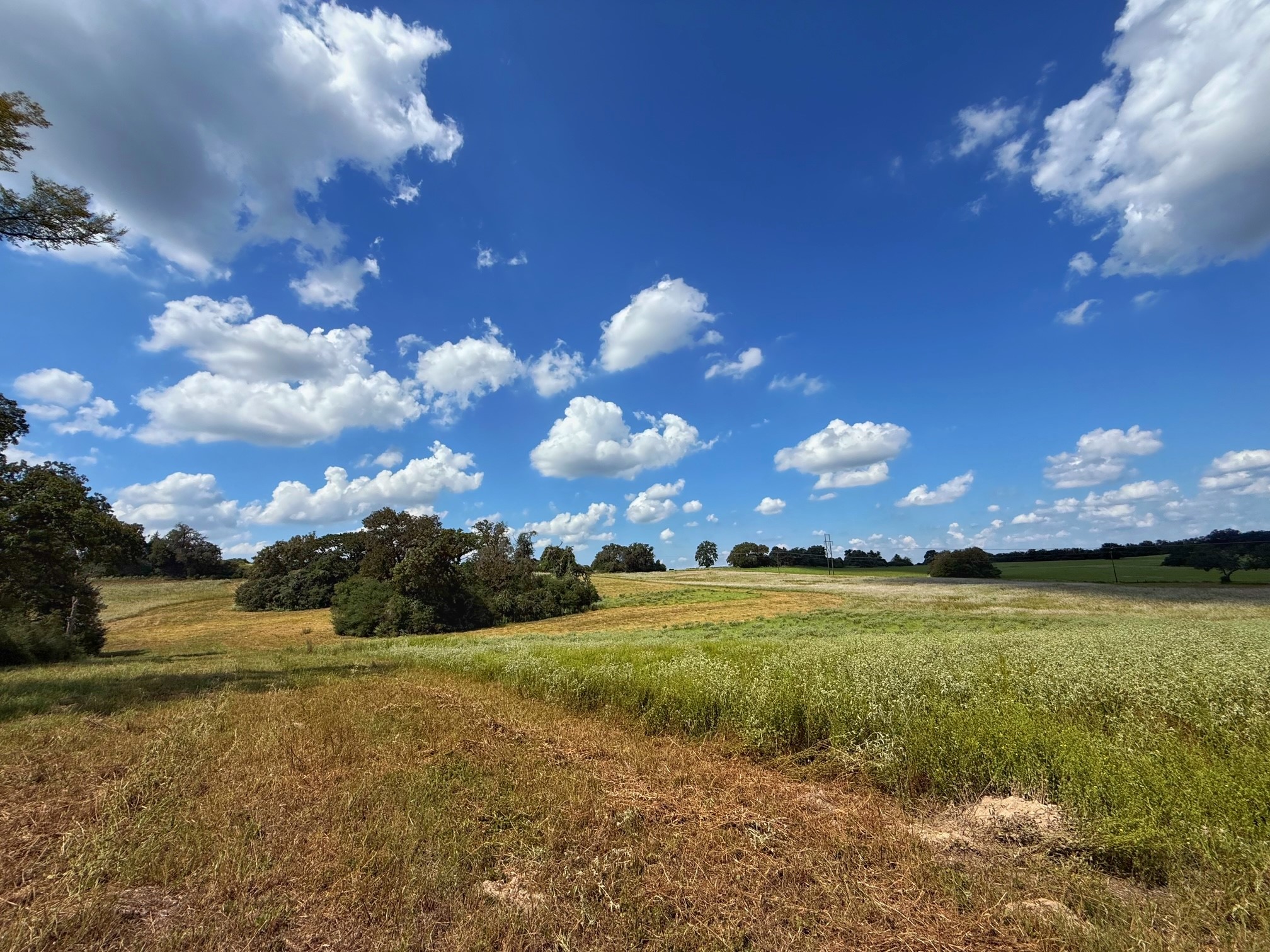 25421 I-45 Feeder Rd S Property Photo 23