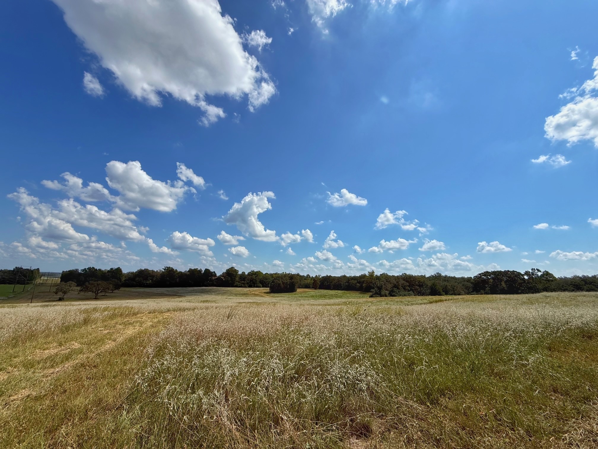 25421 I-45 Feeder Rd S Property Photo 25