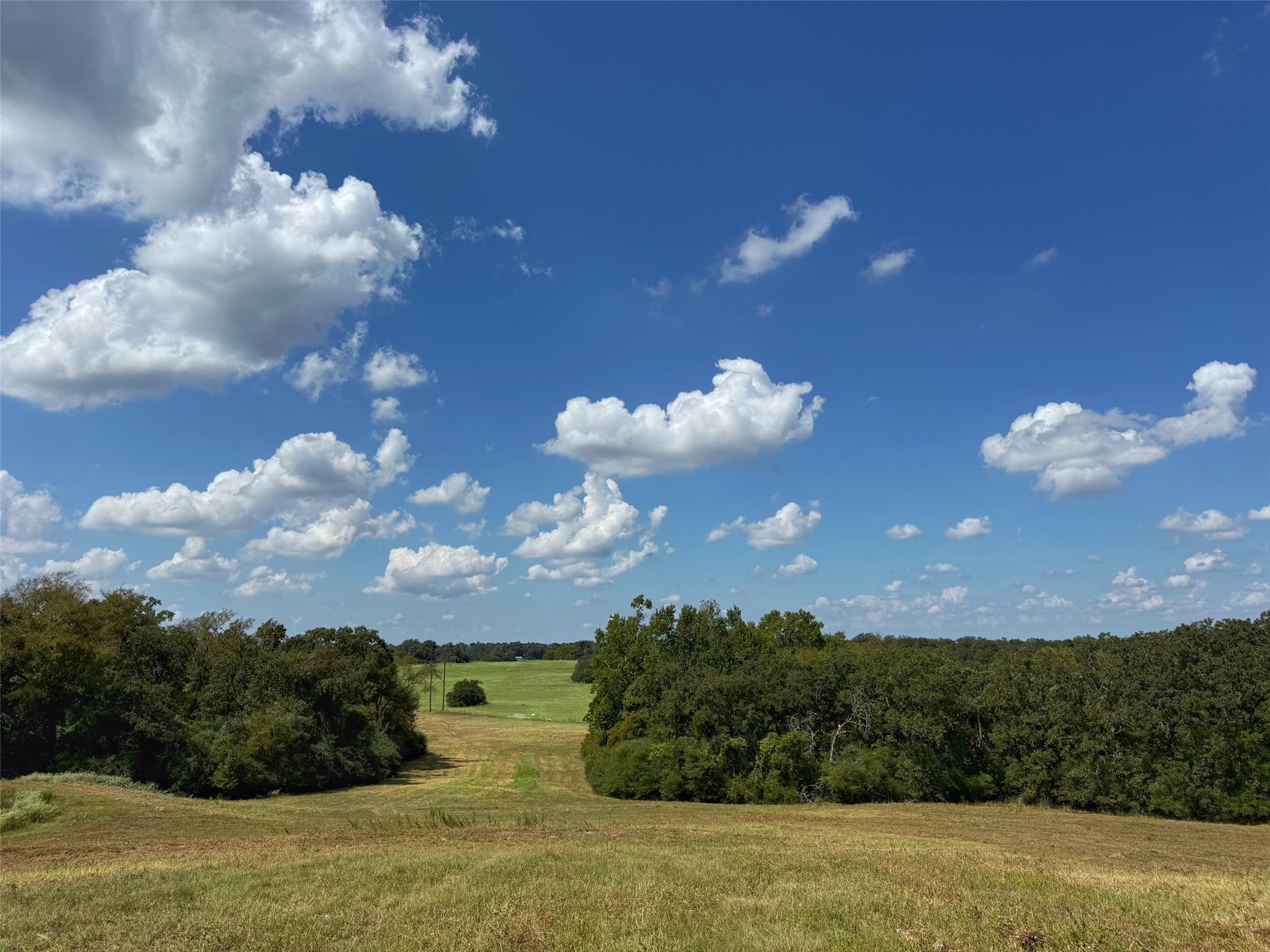 25421 I-45 Feeder Rd S Property Photo 27