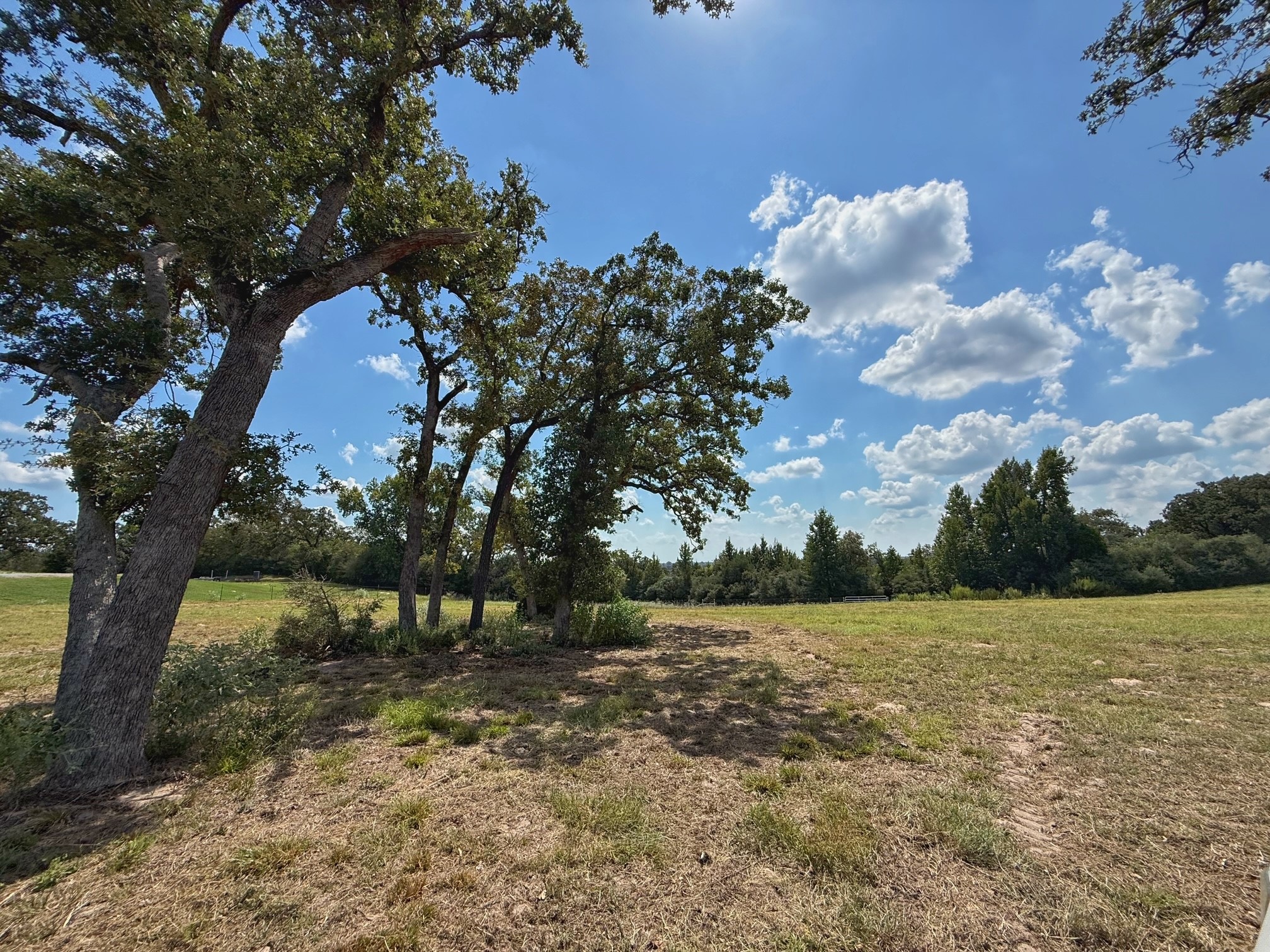 25421 I-45 Feeder Rd S Property Photo 31