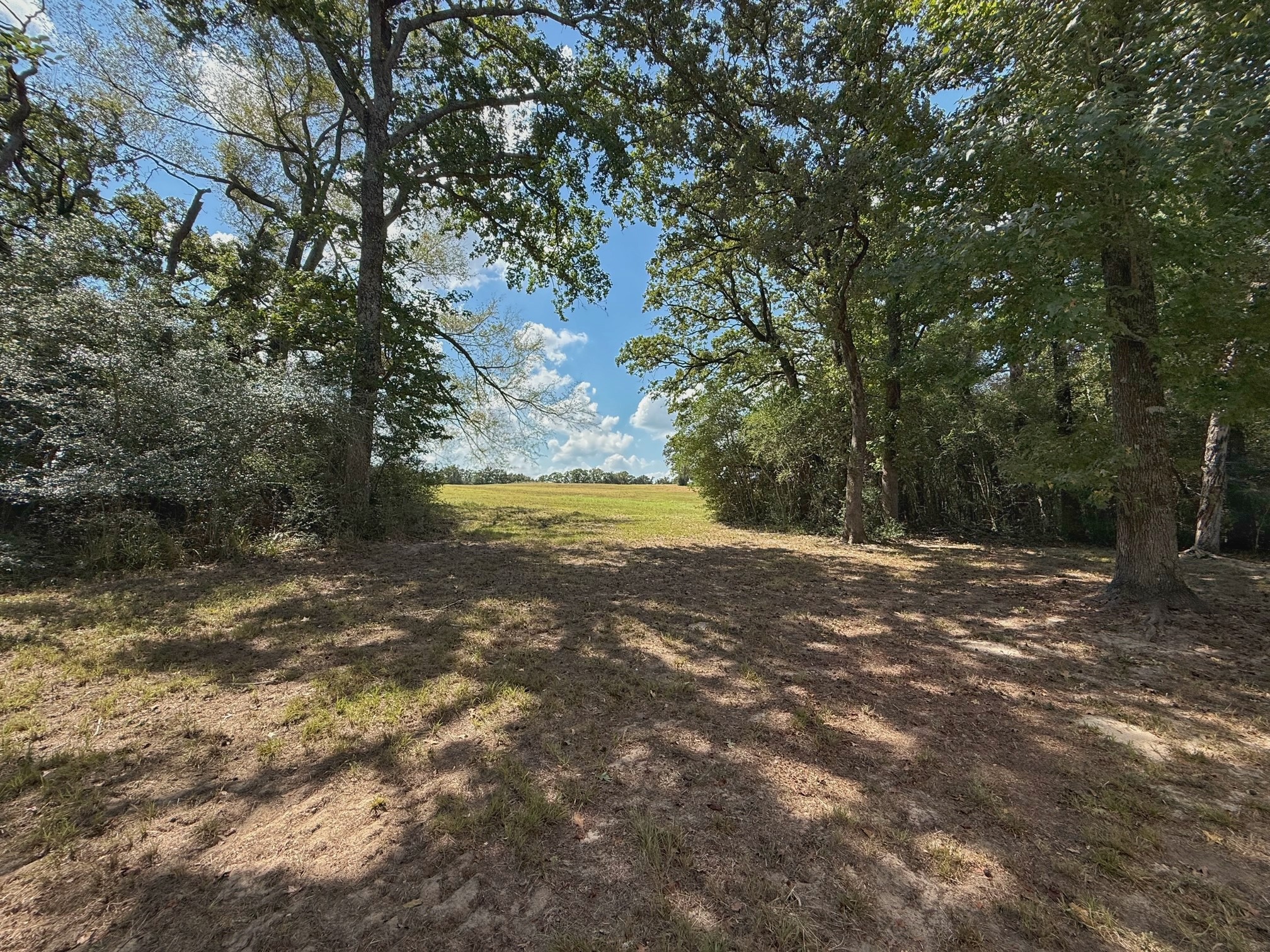 25421 I-45 Feeder Rd S Property Photo 32
