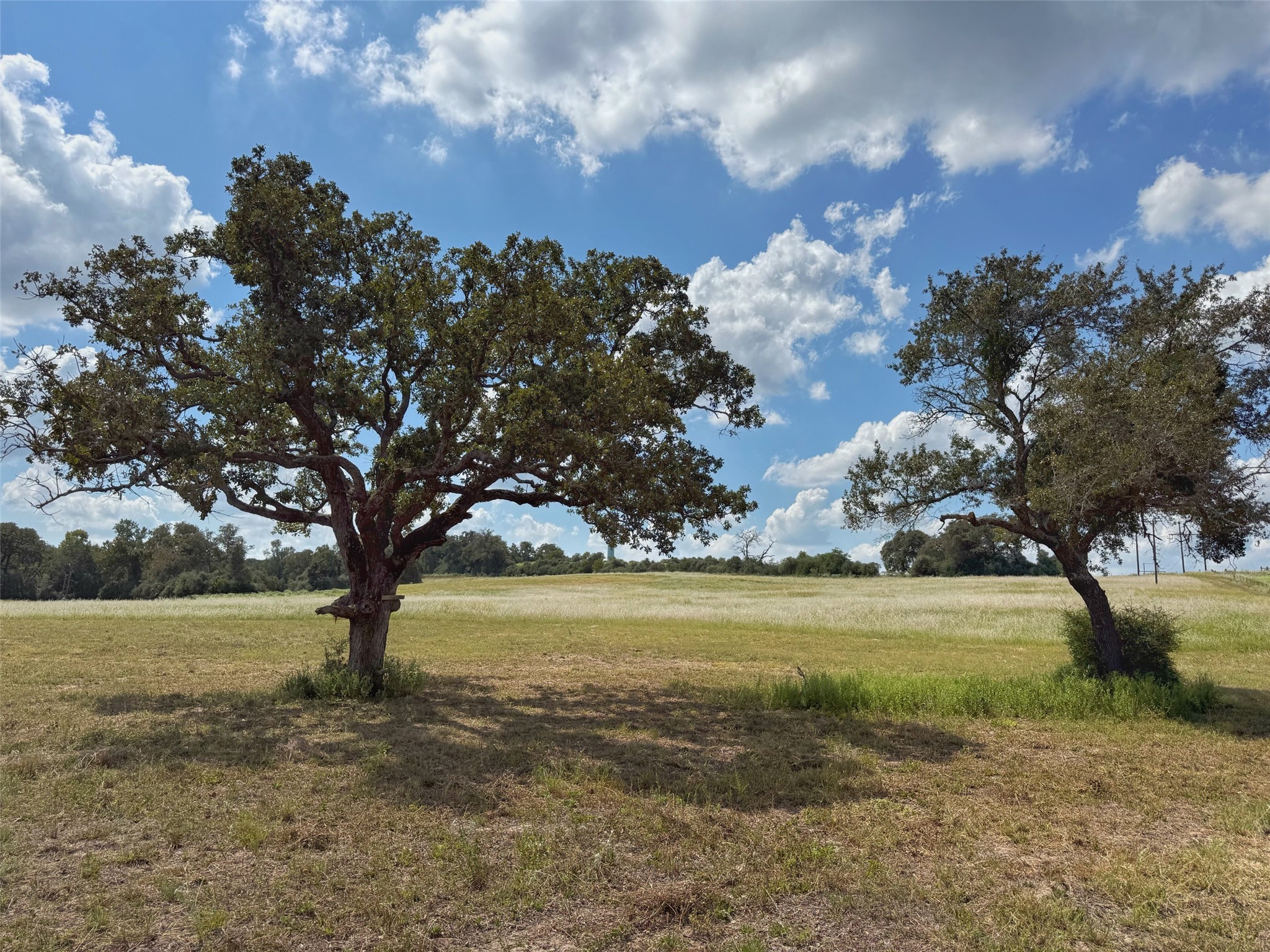 25421 I-45 Feeder Rd S Property Photo 33