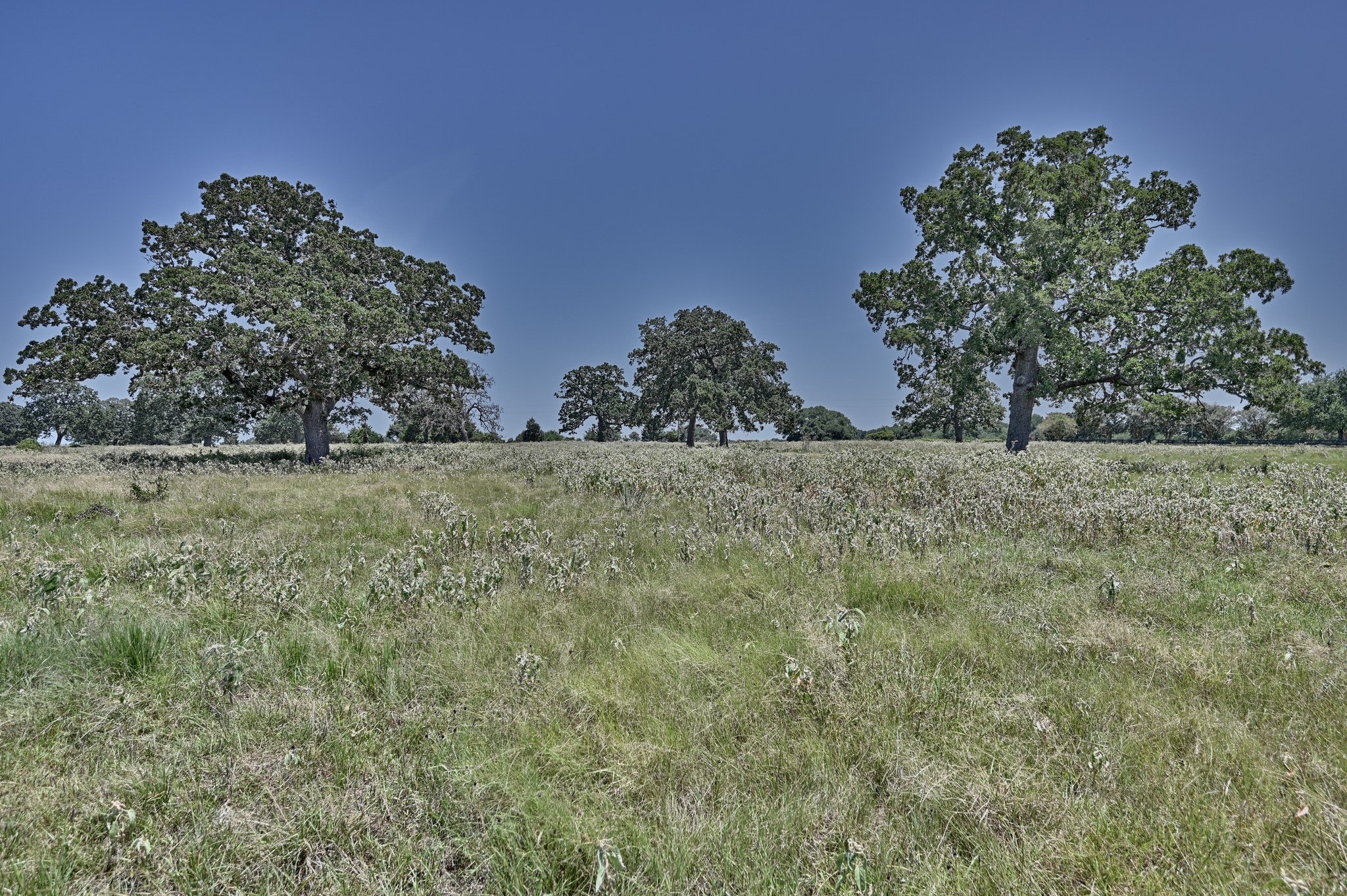 Tbd Eberhardt Road Property Photo 3