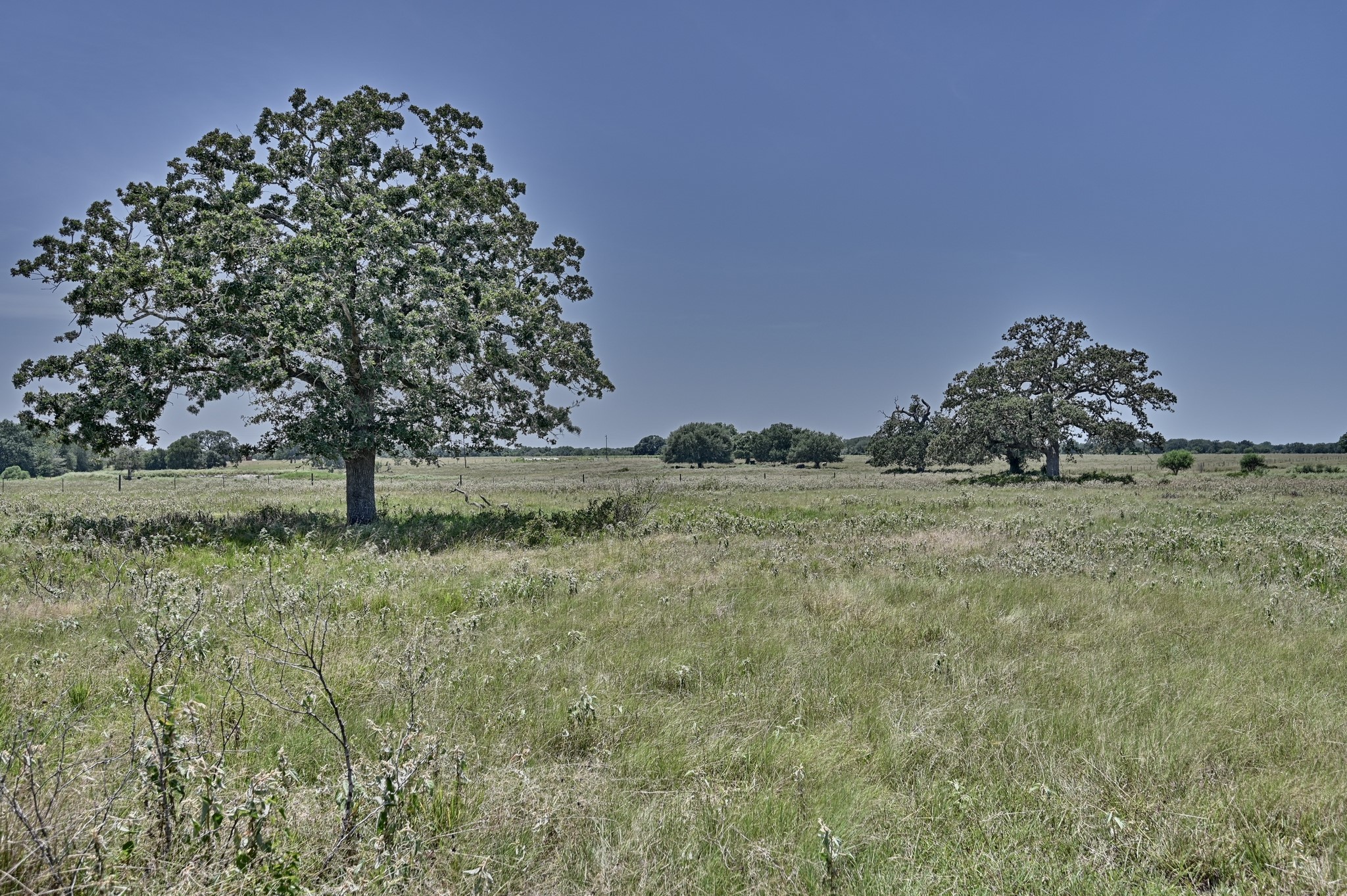Tbd Eberhardt Road Property Photo 14