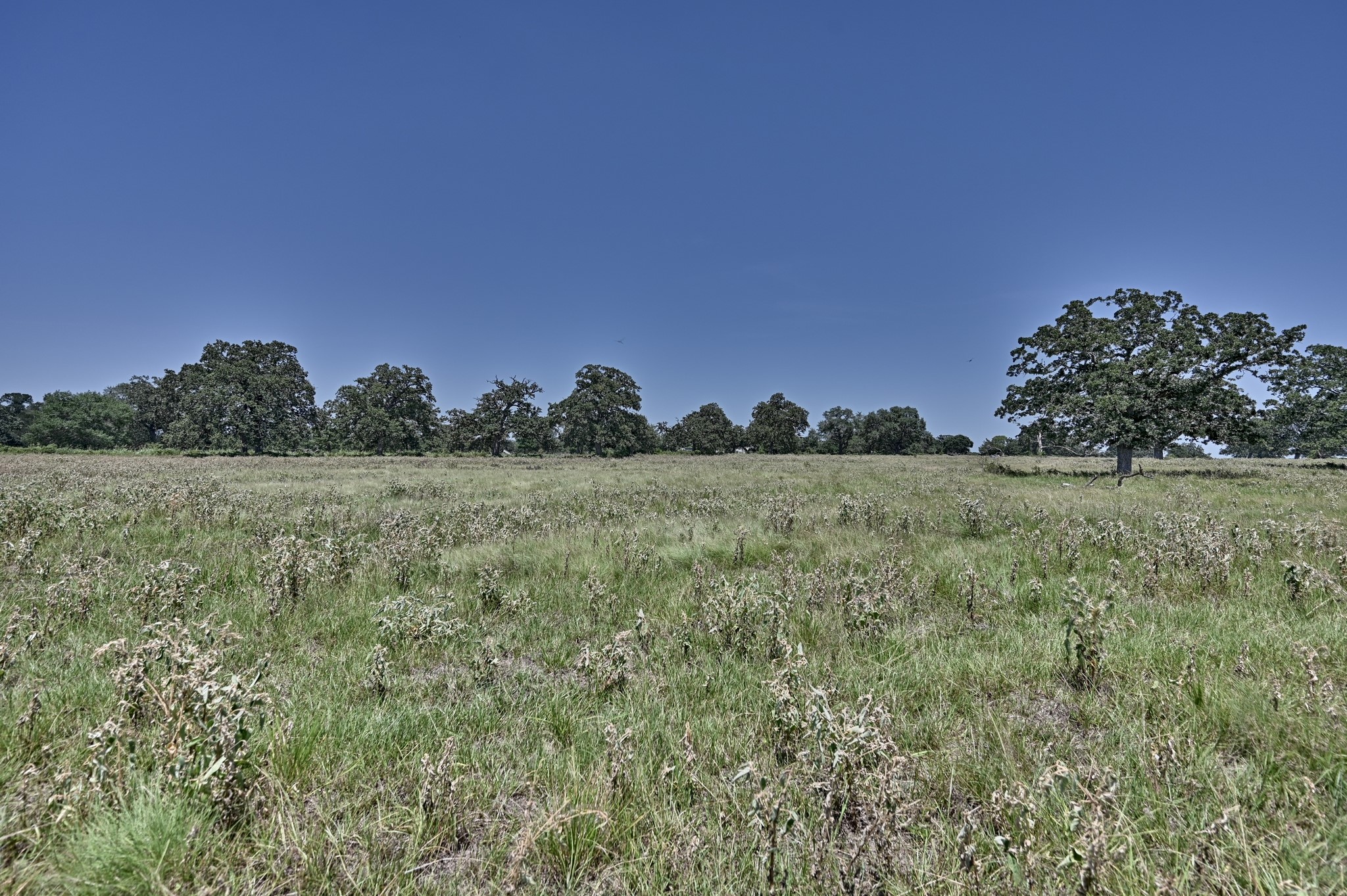 Tbd Eberhardt Road Property Photo 15