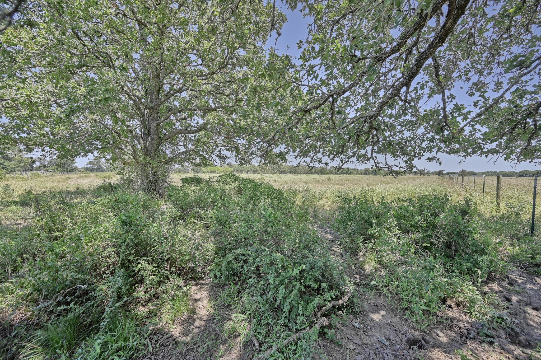Tbd Eberhardt Road Property Photo 16