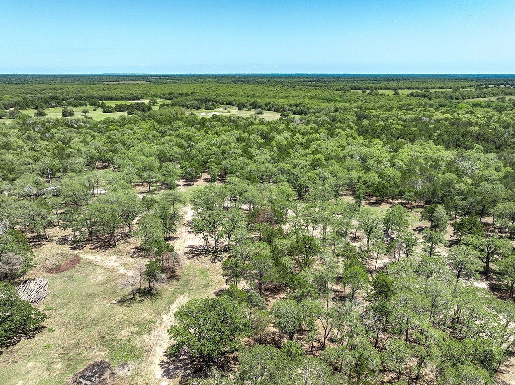 4638 Red Hollow Lane Property Photo 6