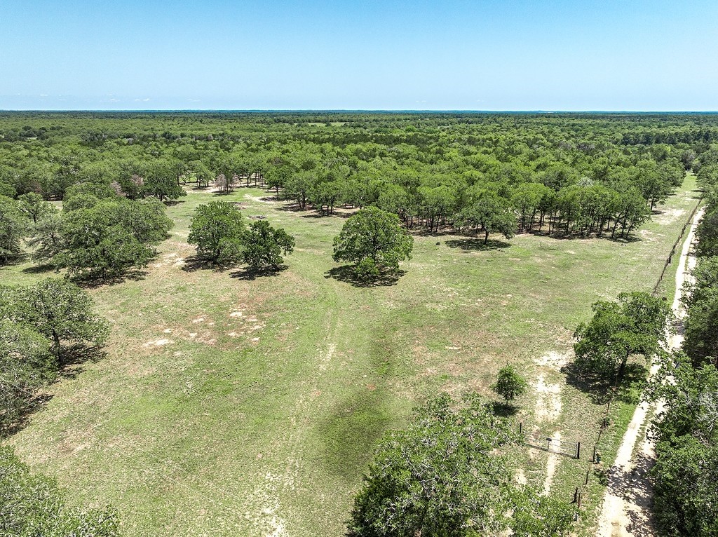 4638 Red Hollow Lane Property Photo 8