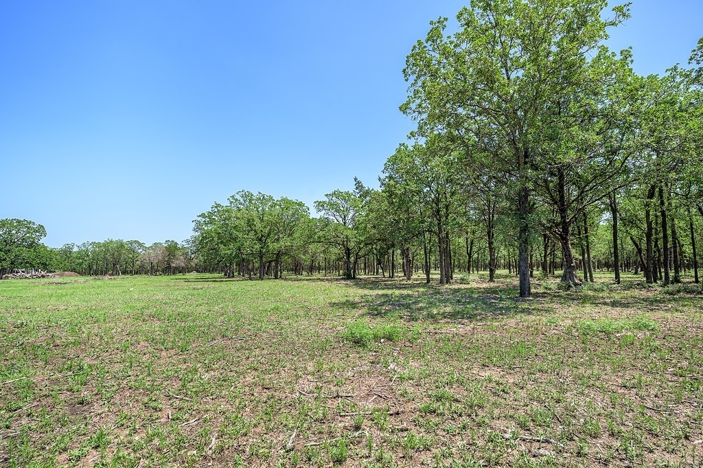 4638 Red Hollow Lane Property Photo 11