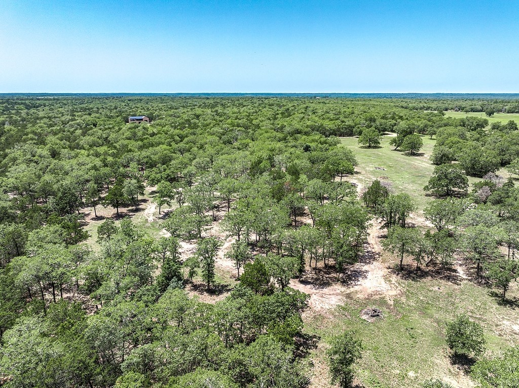 4638 Red Hollow Lane Property Photo 13