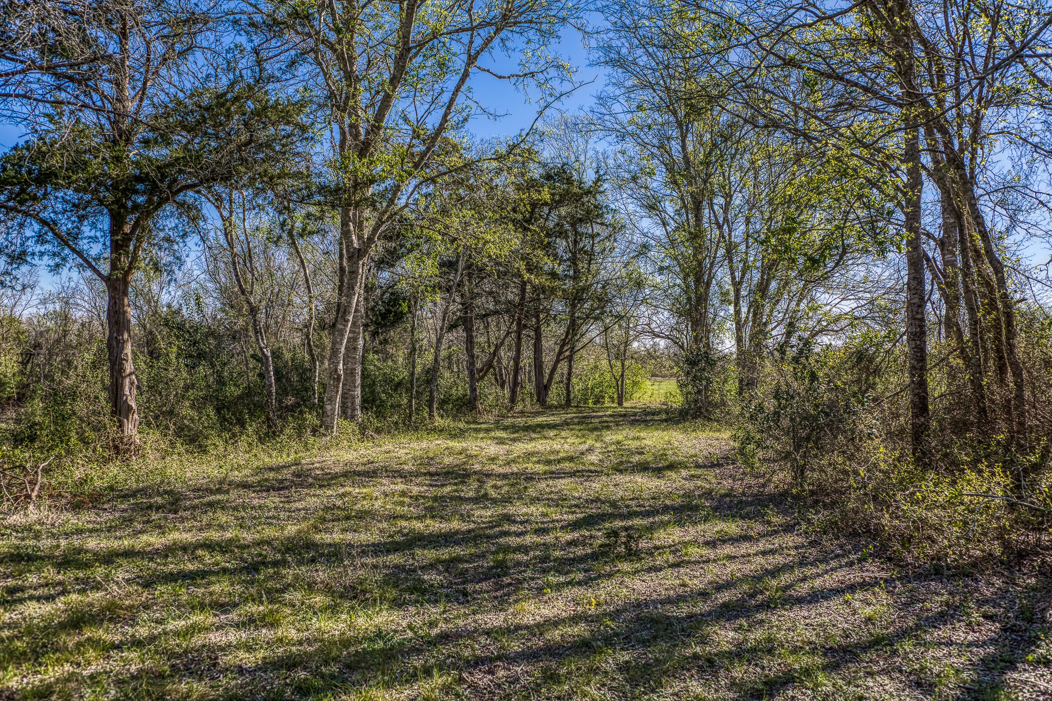 6510 Ganske Road Property Photo 36