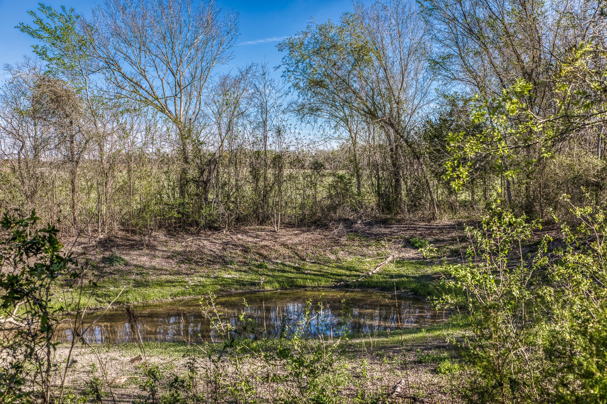 6510 Ganske Road Property Photo 38
