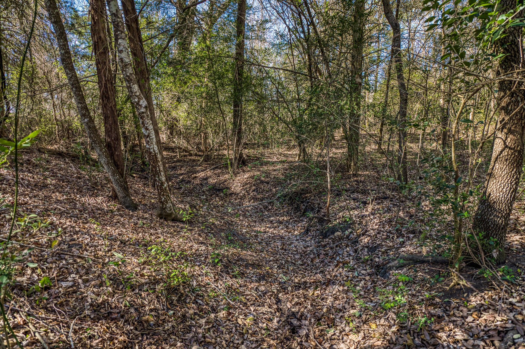 6510 Ganske Road Property Photo 41