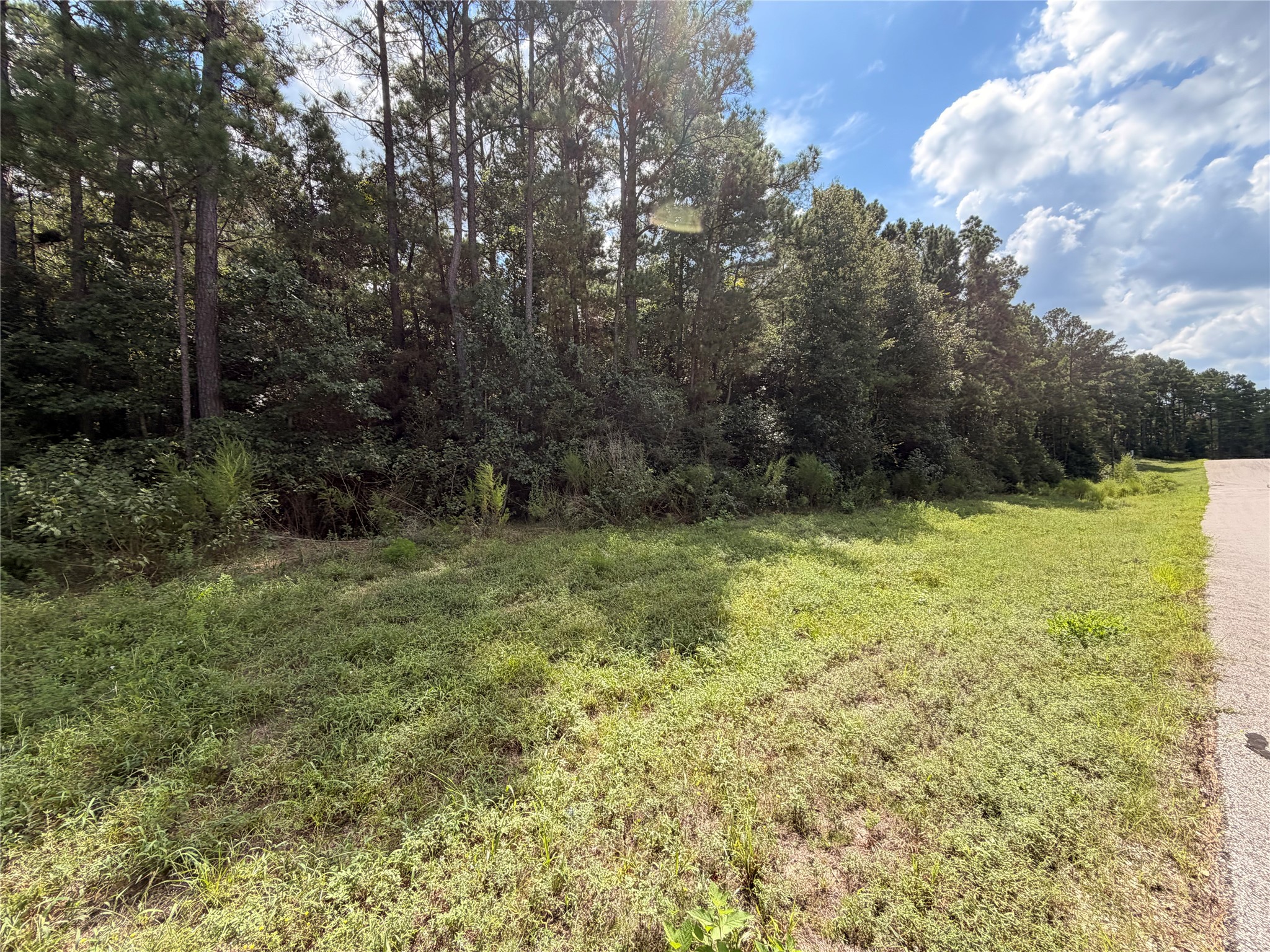 Tbd Handler Road Property Photo 6
