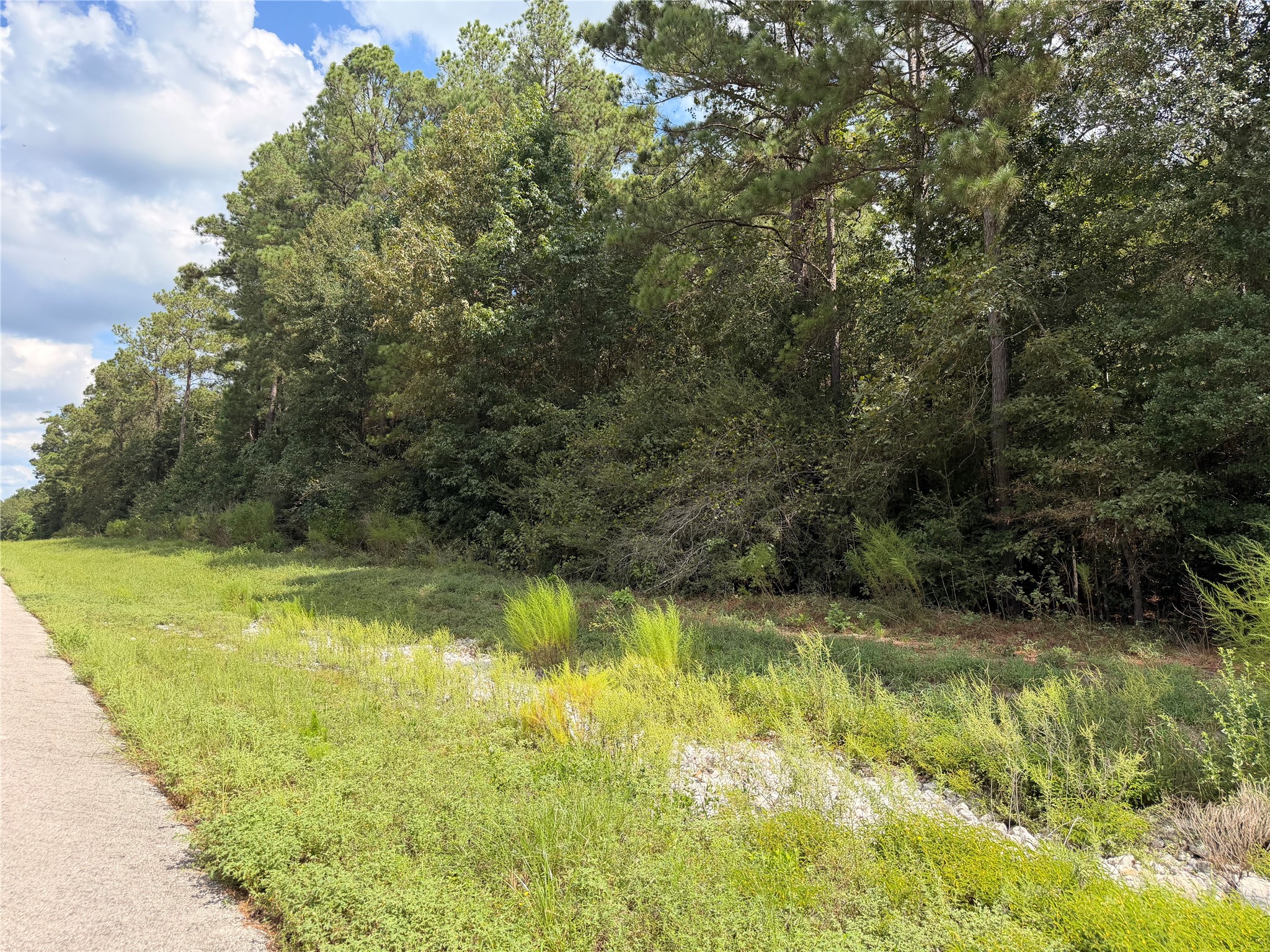 Tbd Handler Road Property Photo 10