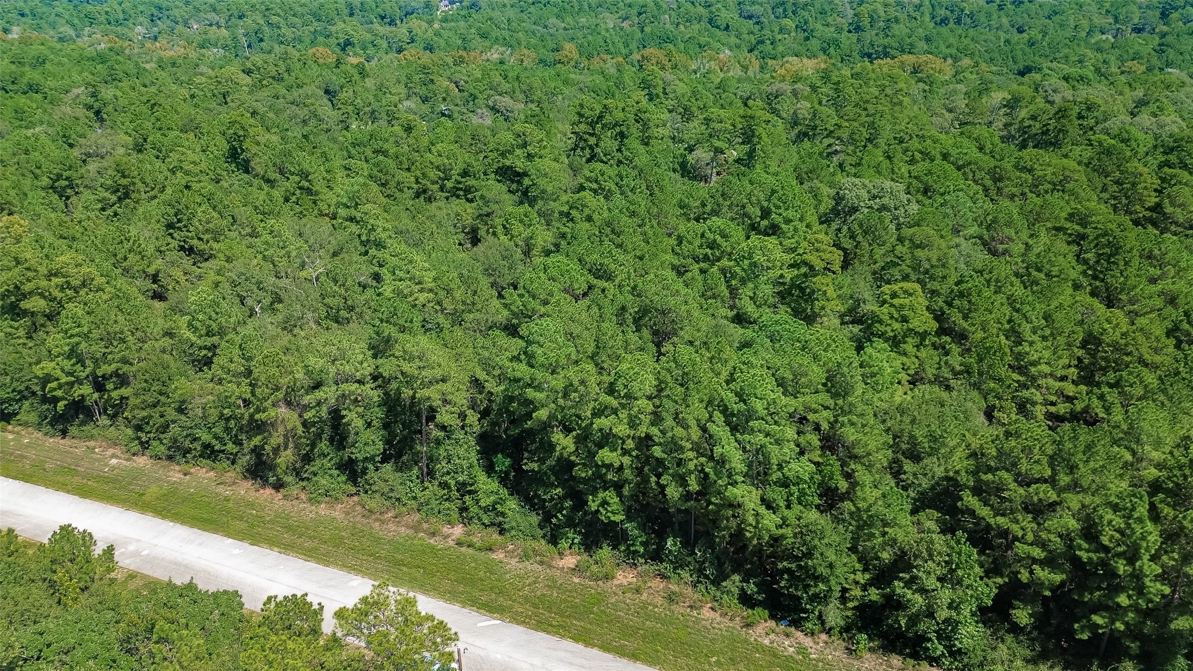 Tbd Handler Road Property Photo 14