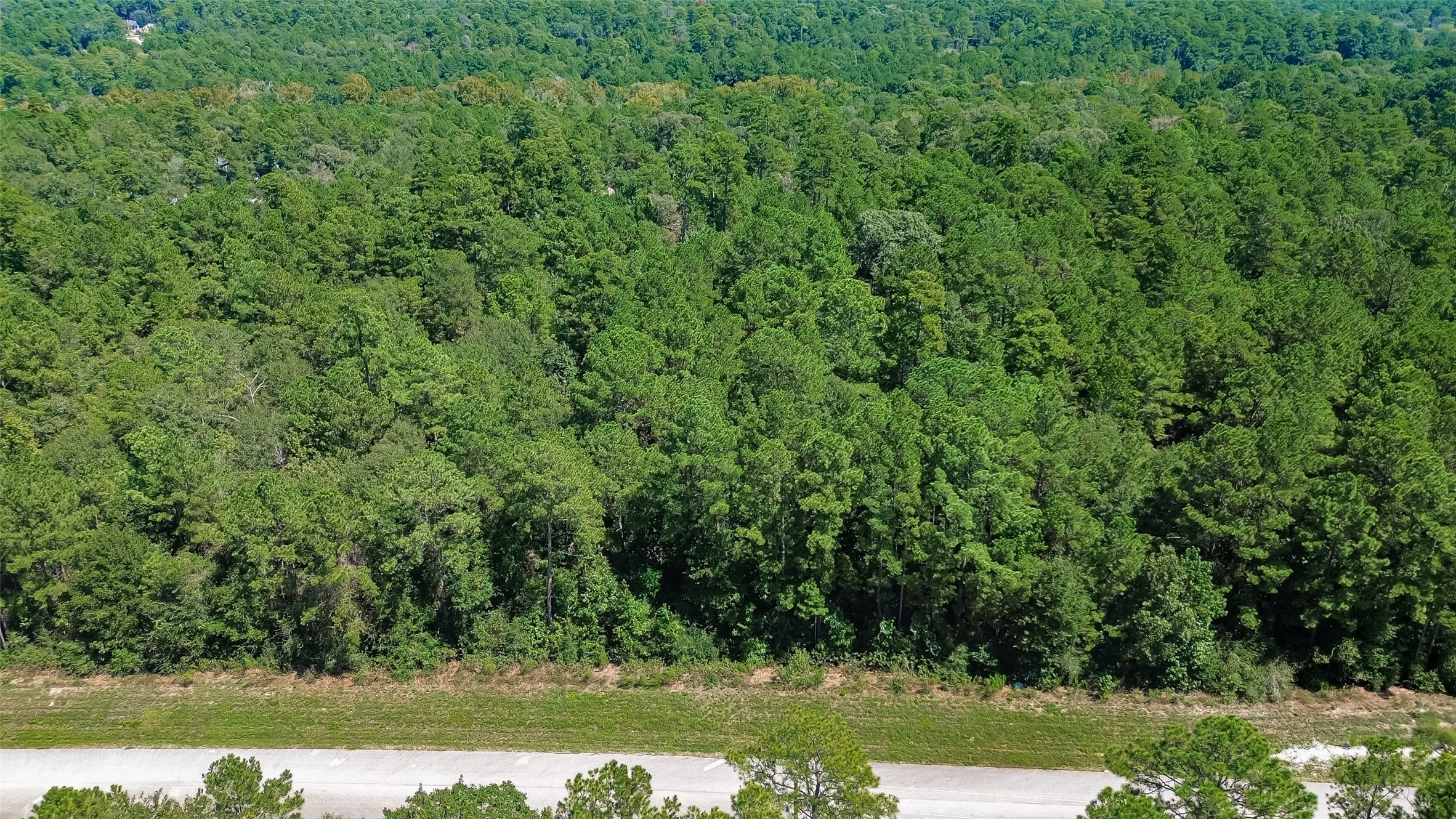 Tbd Handler Road Property Photo 15