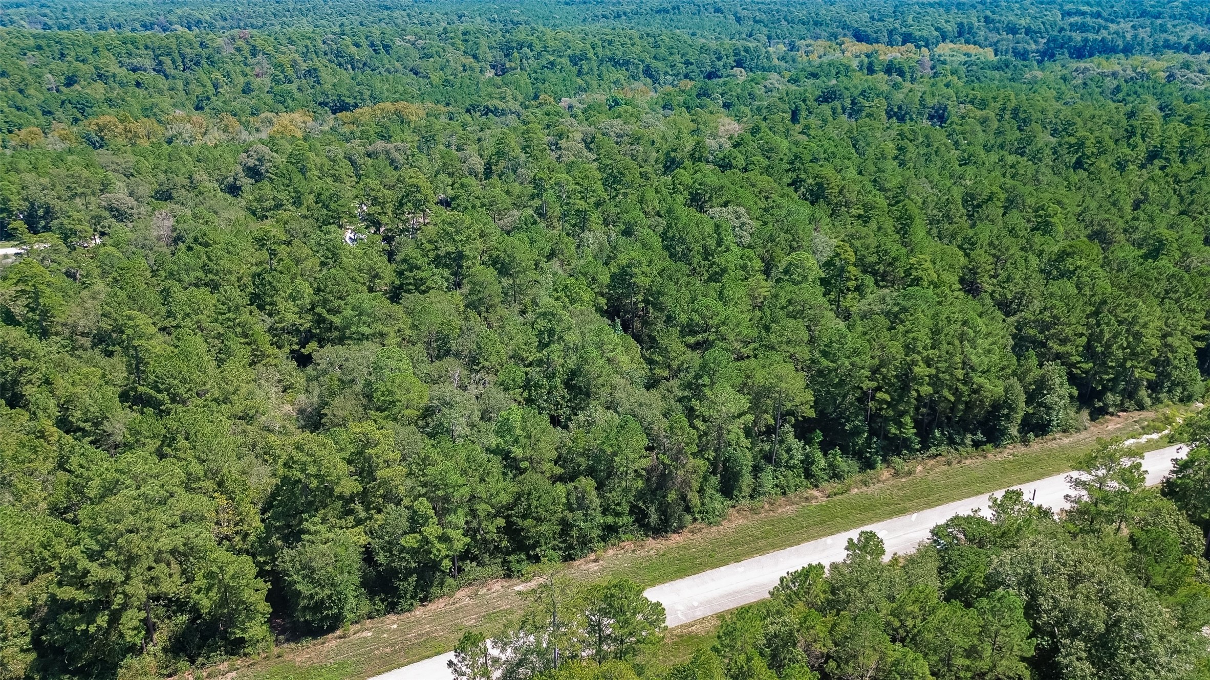 Tbd Handler Road Property Photo 16
