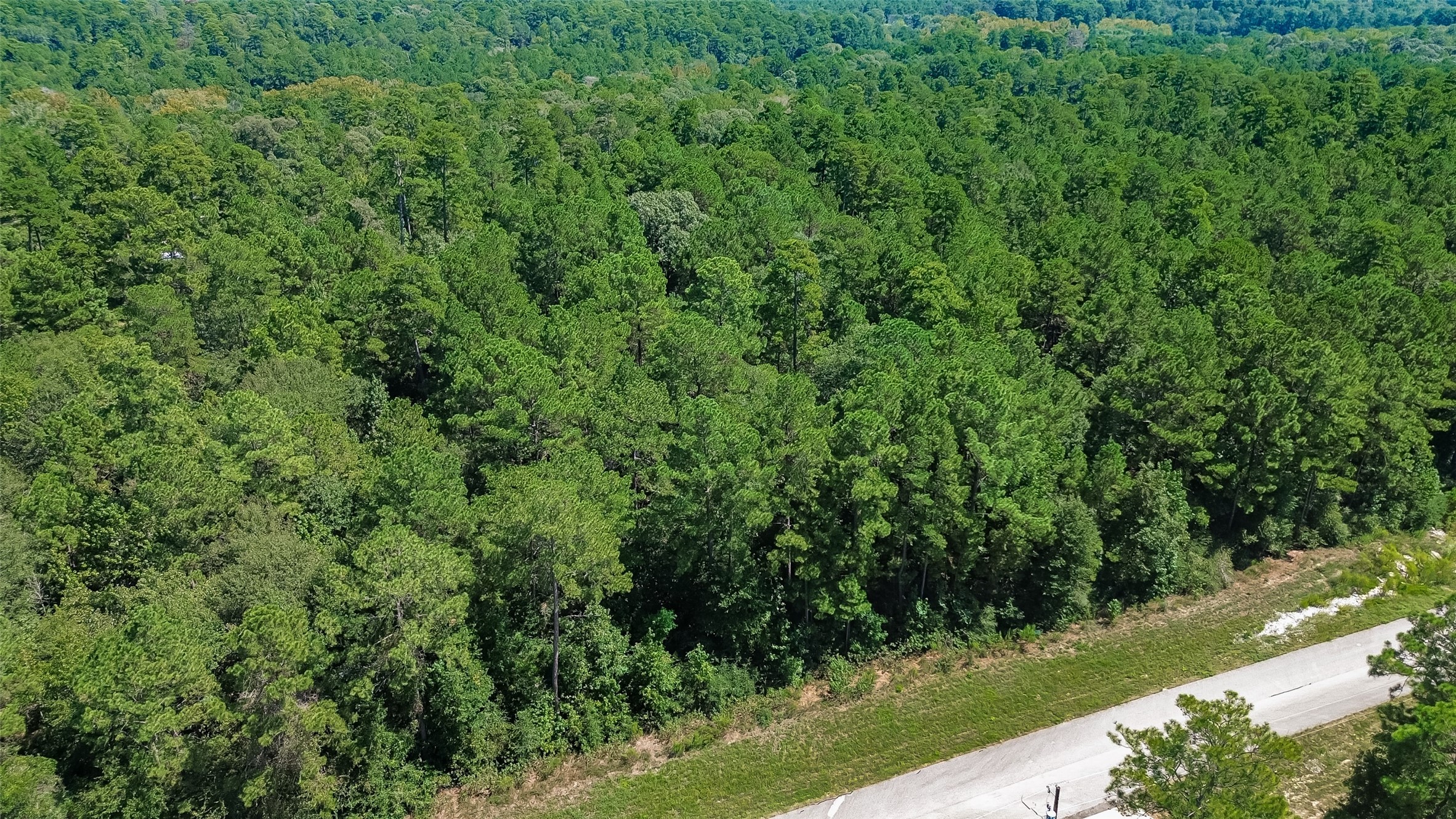 Tbd Handler Road Property Photo 17