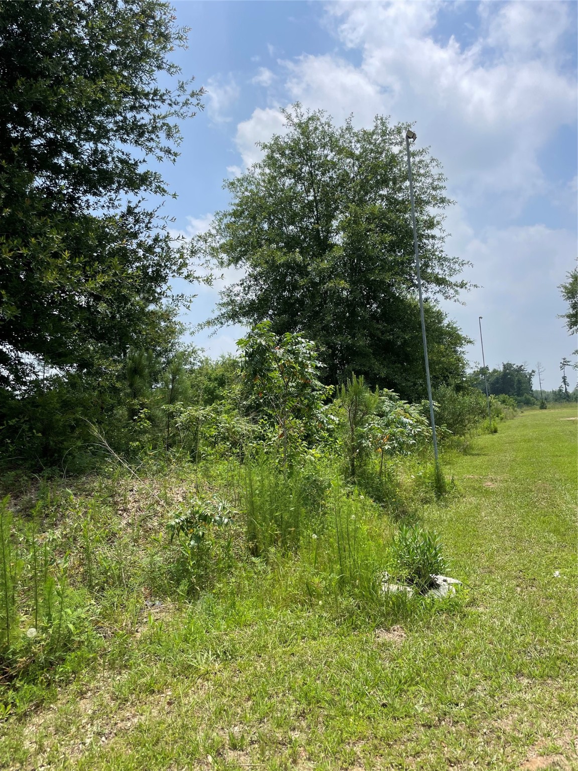 337 County Road 3572 Property Photo